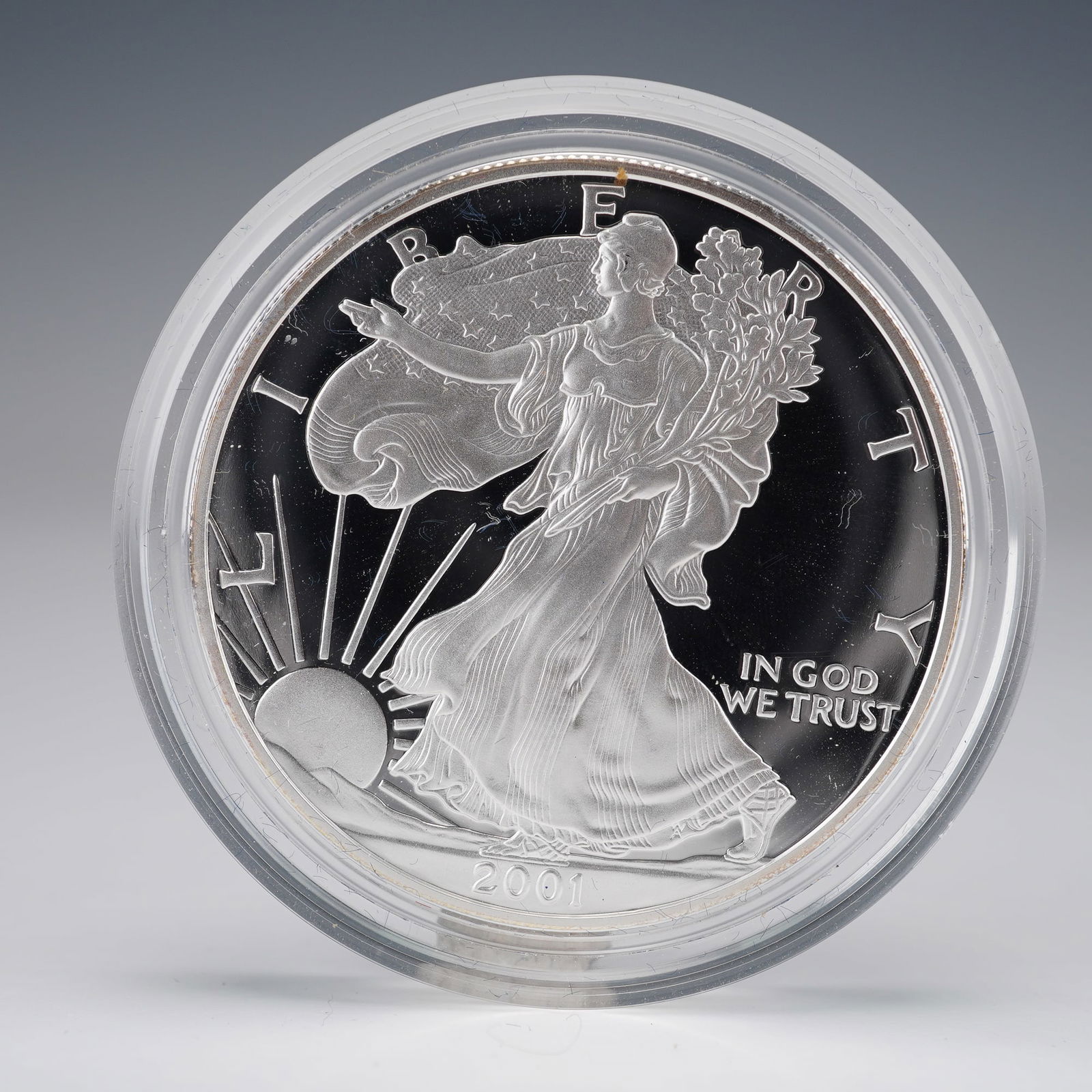 2001-W American Silver Eagle Proof Coin (1 of 4)