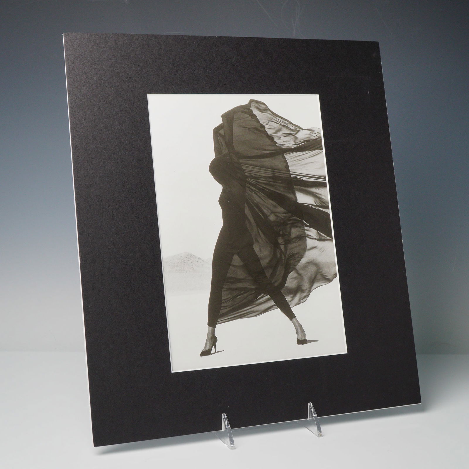 Herb Ritts Duotone Photo Engraving, Versace Veiled Dress: El Mirage: Herb Ritts (American, 1952-2002) duotone photo engraving, printed by Pacific Press Service, Japan. Depicts the 1990 Versace Veiled Dress at El Mirage, featuring a full-length figure draped in a large,