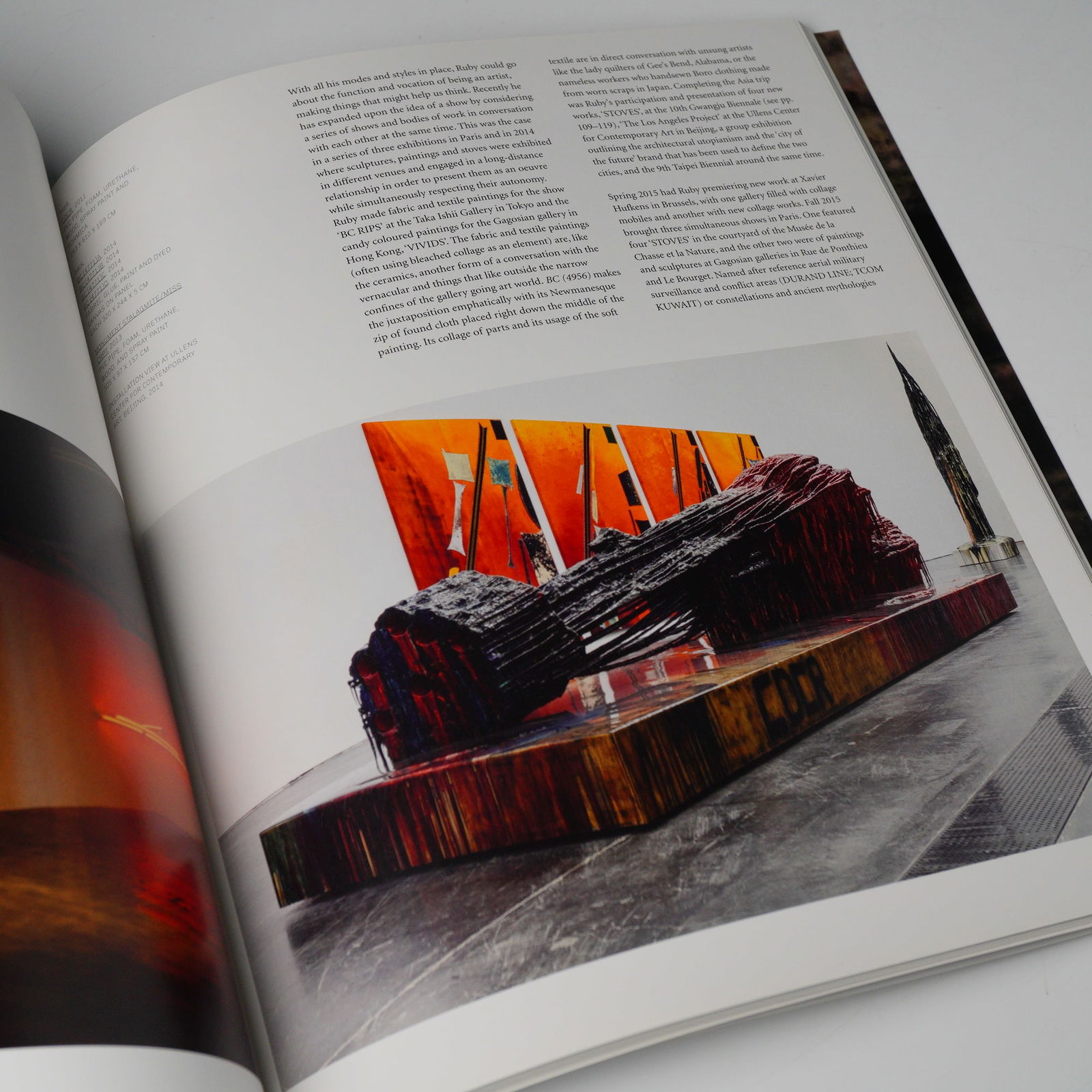 Sterling Ruby: Sterling Ruby. Phaidon, 2015 Art Monograph - 3