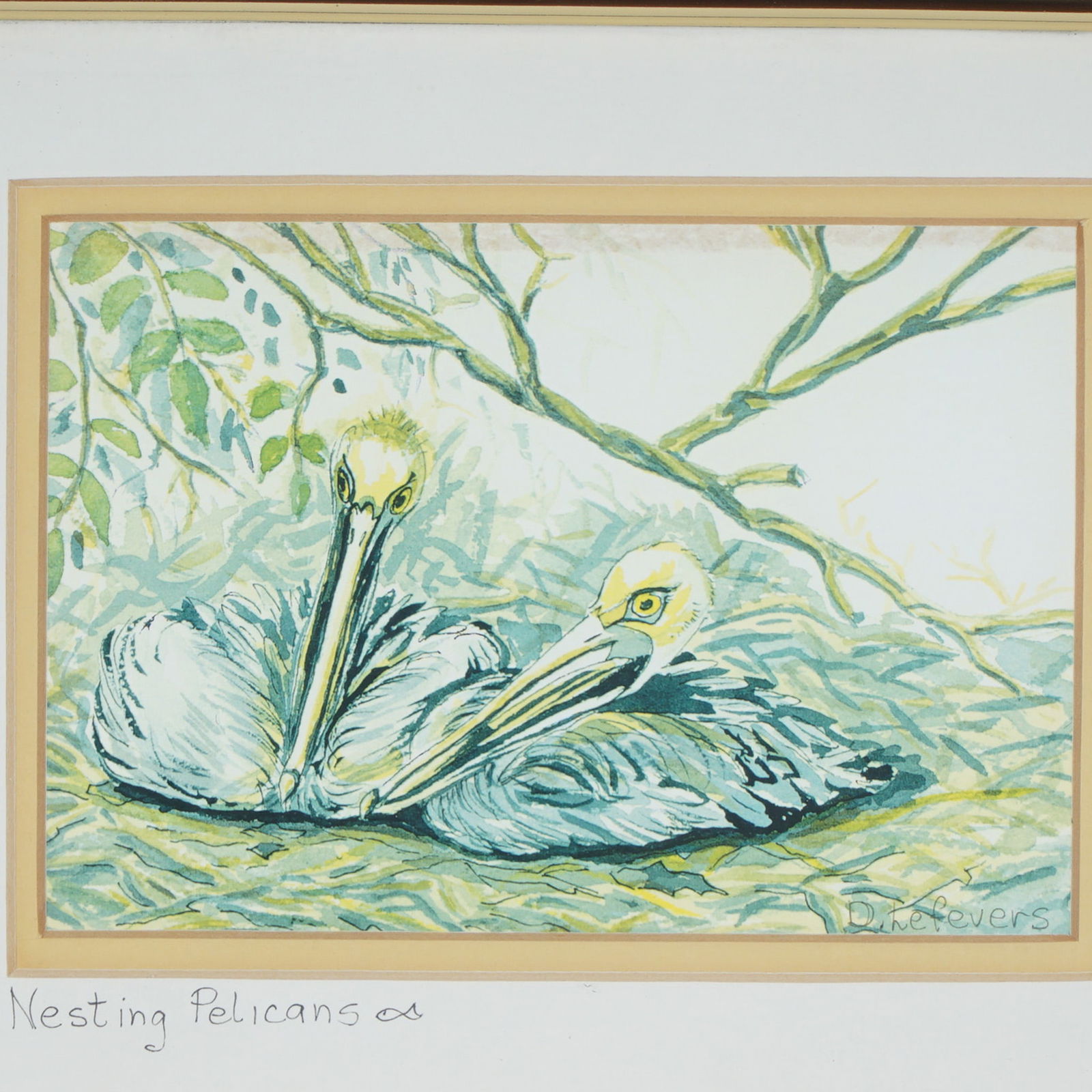 Dot Lefevers Nesting Pelicans Framed Print - 2