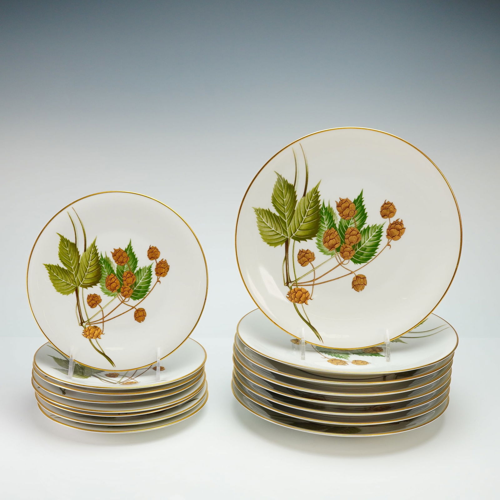 16pc H & C Selb Bavaria Porcelain Plates, Botanical Gold Trim (1 of 5)