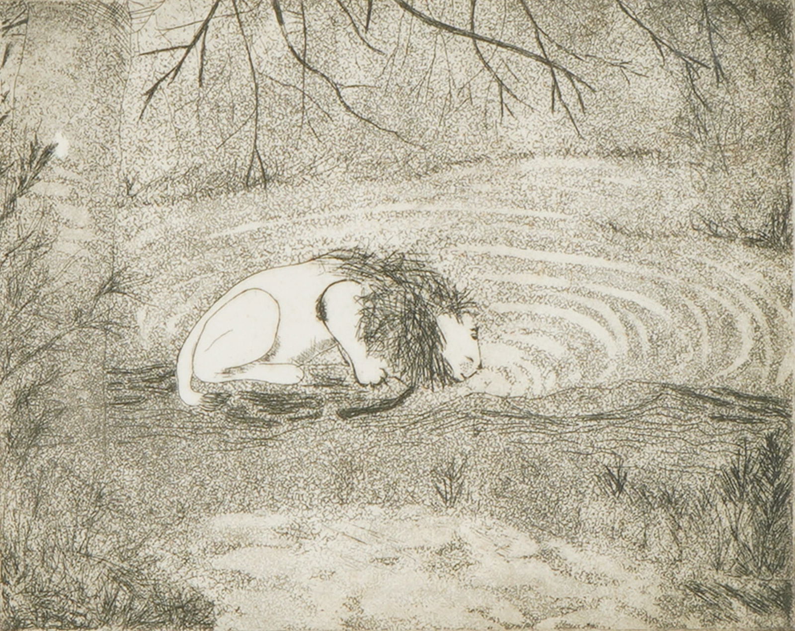 B. Smoler, Etching on Paper, Resting Lion by the Water, Signed: A finely detailed etching on paper by B. Smoler depicting a tranquil scene of a lion resting beside a rippling body of water under delicate, overhanging branches. Executed with meticulous linework
