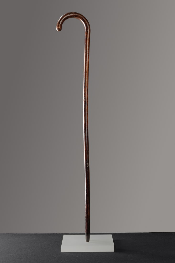 Wooden Crook Handle Walking Cane (1 of 3)