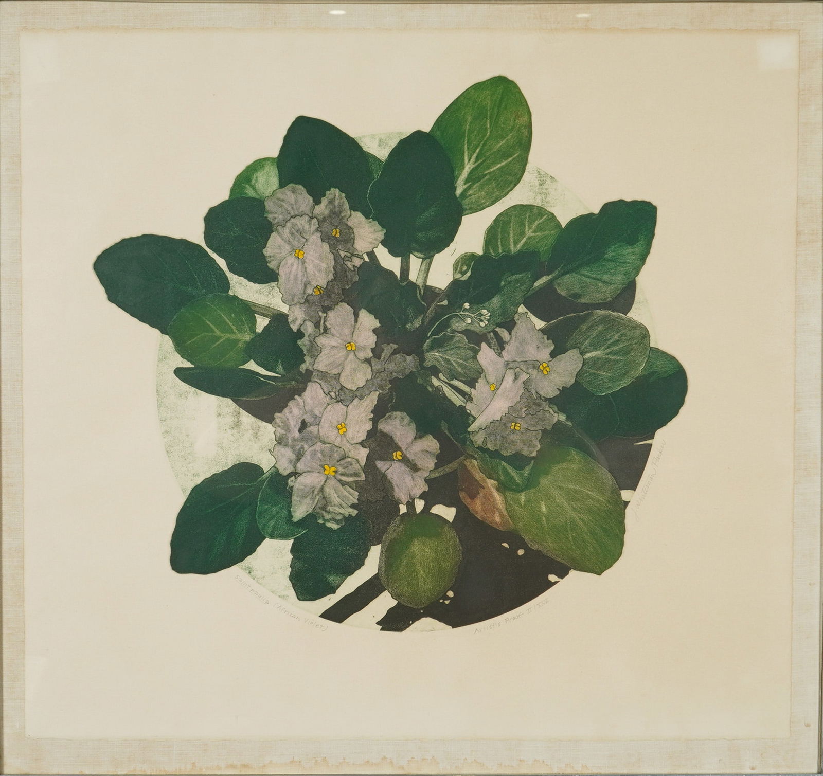 J. Whiteman Parker (American b. 1945) Aquatint Etching on Paper, Signed: This artist's proof botanical aquatint etching on paper by J. Whiteman Parker depicts an African Violet (Saintpaulia) that features dark green foliage and pale purple blossoms with yellow centers. The