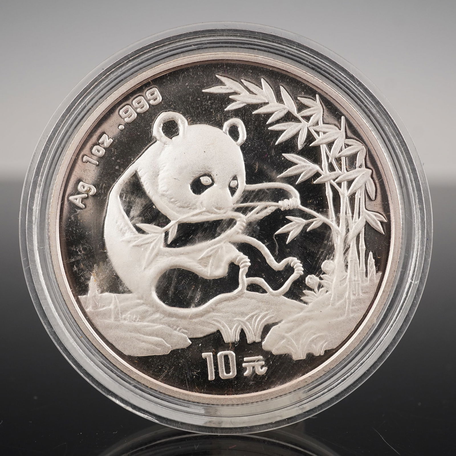 1994 China Panda 10 Yuan Silver Coin (1 of 2)