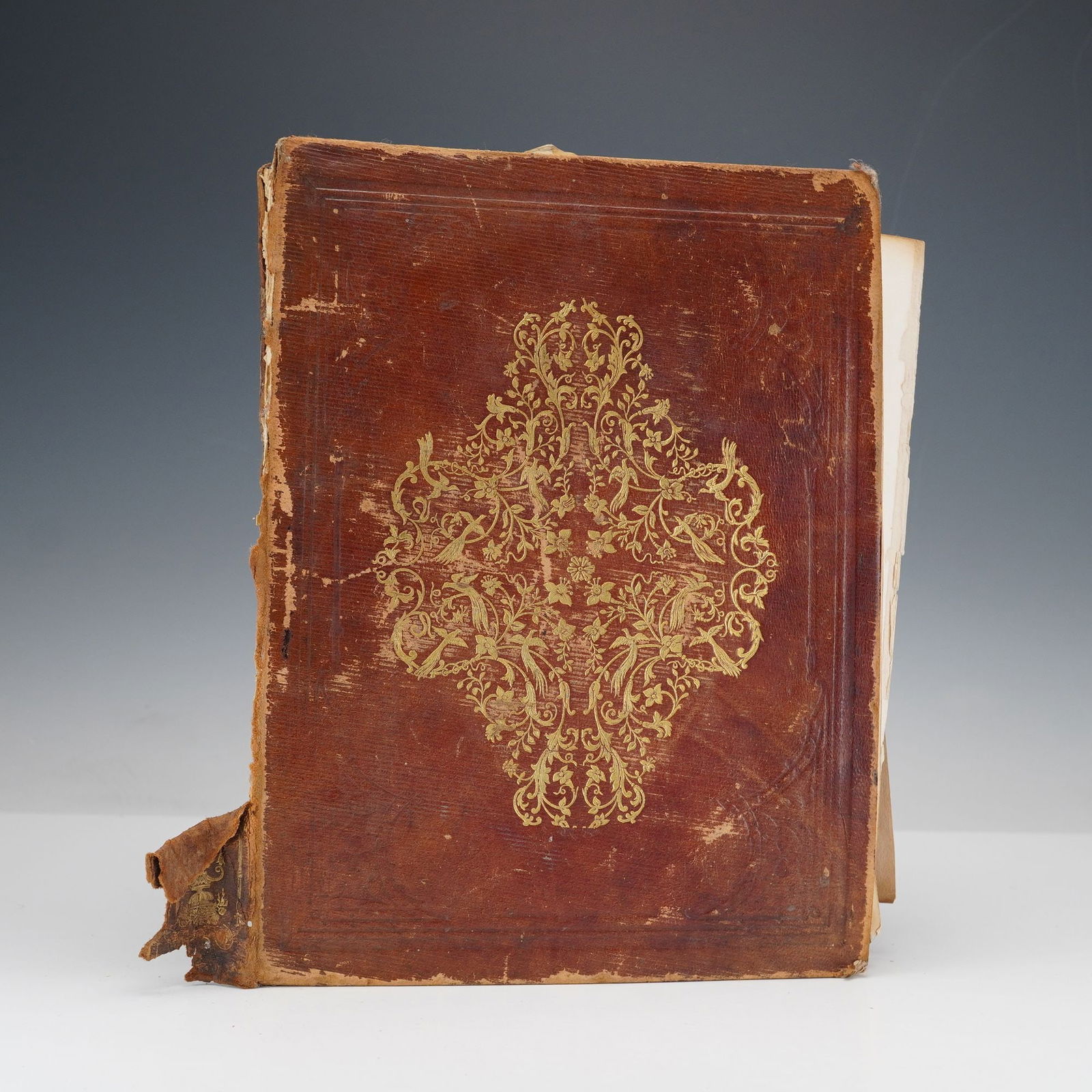 Early 20th Century Leather-Bound Album (1 of 3)