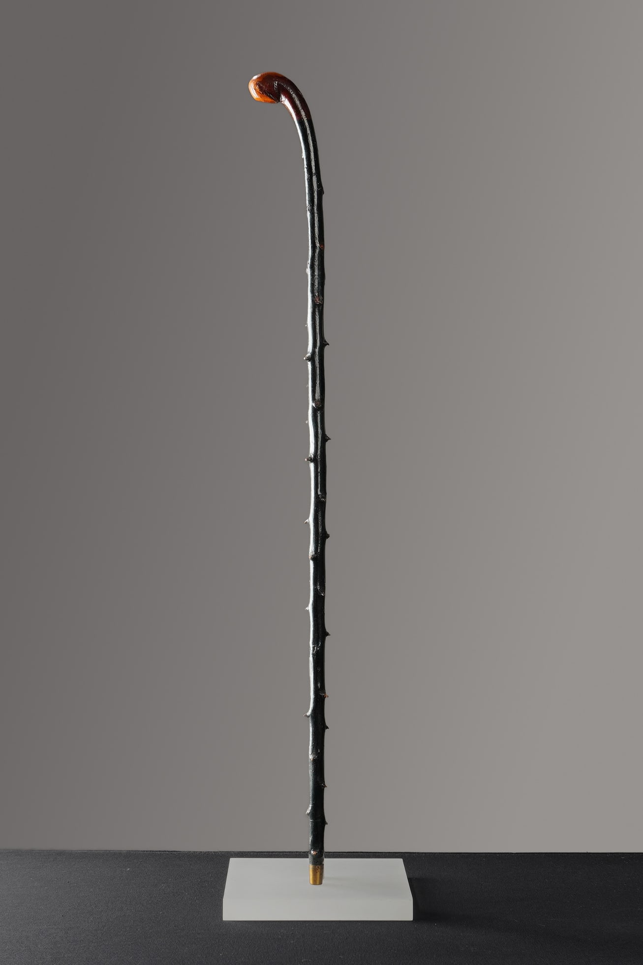Irish Blackthorn Walking Stick (1 of 4)