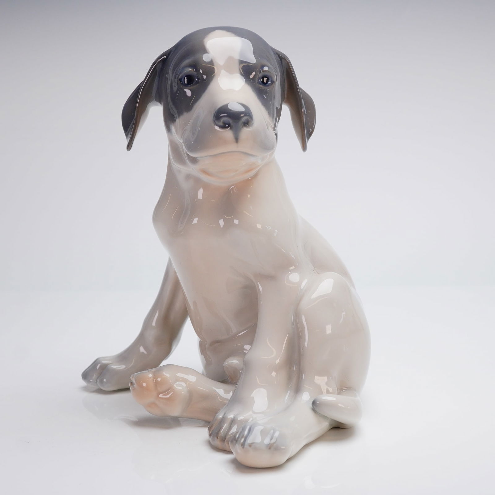 Royal Copenhagen Porcelain Pointer Puppy Figurine (1 of 4)