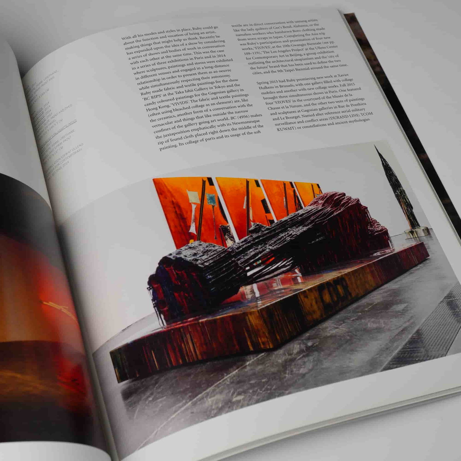 Sterling Ruby: Sterling Ruby. Phaidon, 2015 Art Monograph - 3