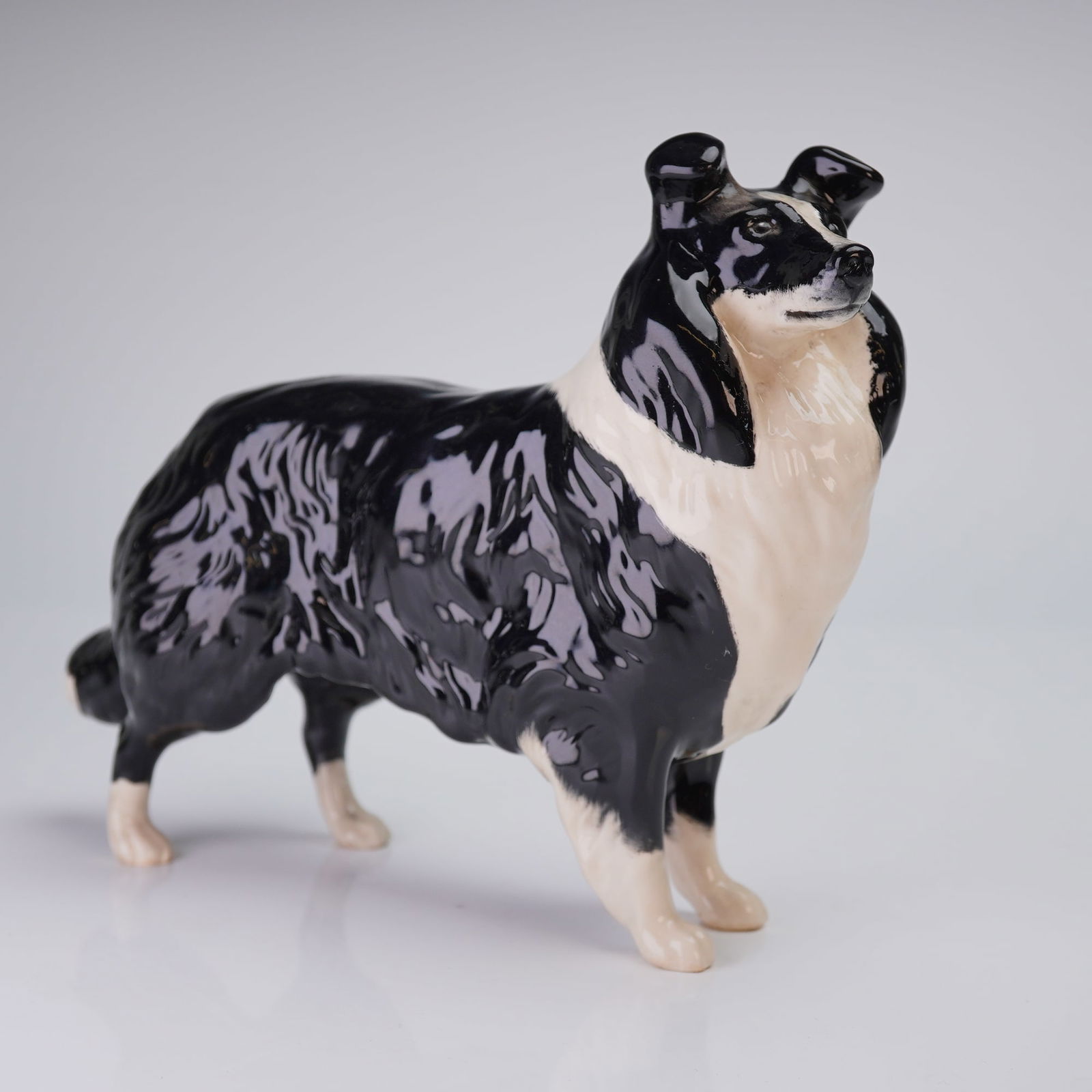 Beswick England Glazed Ceramic Collie Dog Figurine: A single glazed ceramic figurine manufactured by Beswick England, depicting a Rough Collie or Shetland Sheepdog standing in repose. The figurine is executed in a glossy black and white glaze, utilizin