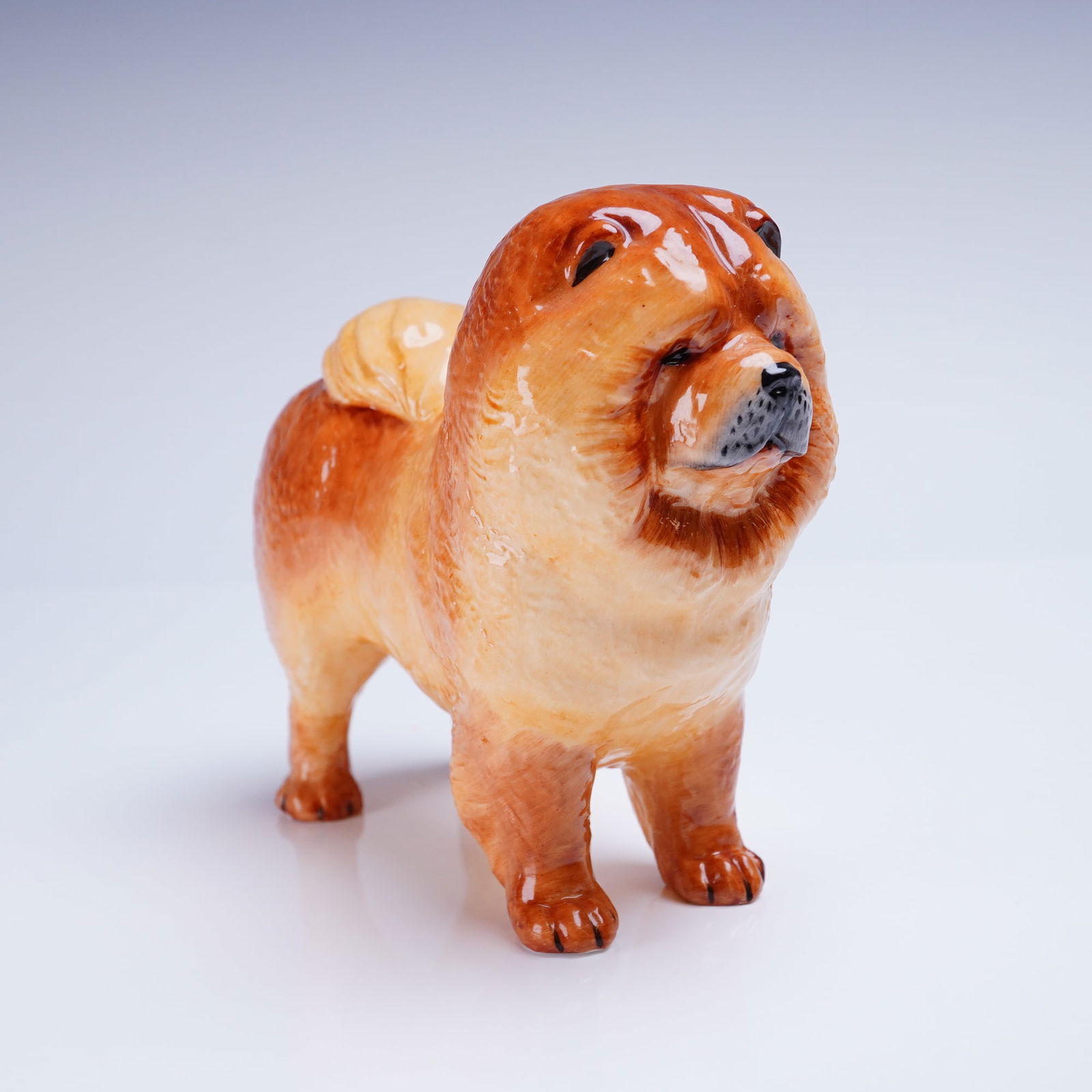Coalport Chow Chow Dog Figurine: A glazed figurine manufactured by Coalport, depicting a standing Chow Chow dog. The figurine is rendered in naturalistic shades of reddish-orange, tan, and brown with a high-gloss finish. The modeling