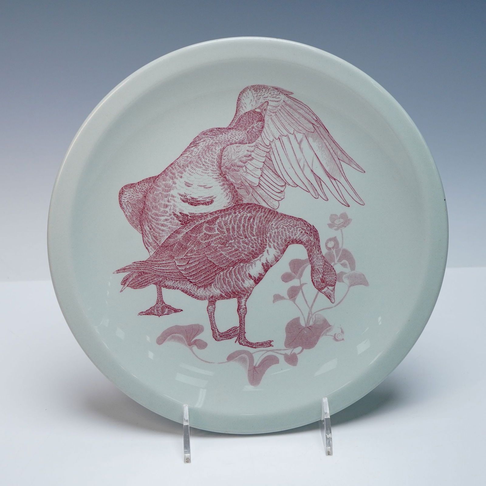 Wedgwood American Game Birds Plate - White-Fronted Goose: A circular ceramic plate from the Wedgwood 'American Game Birds' series, featuring the 'White-Fronted Goose' design. The plate has a pale celadon green/grey ground decorated with a detailed deep red (