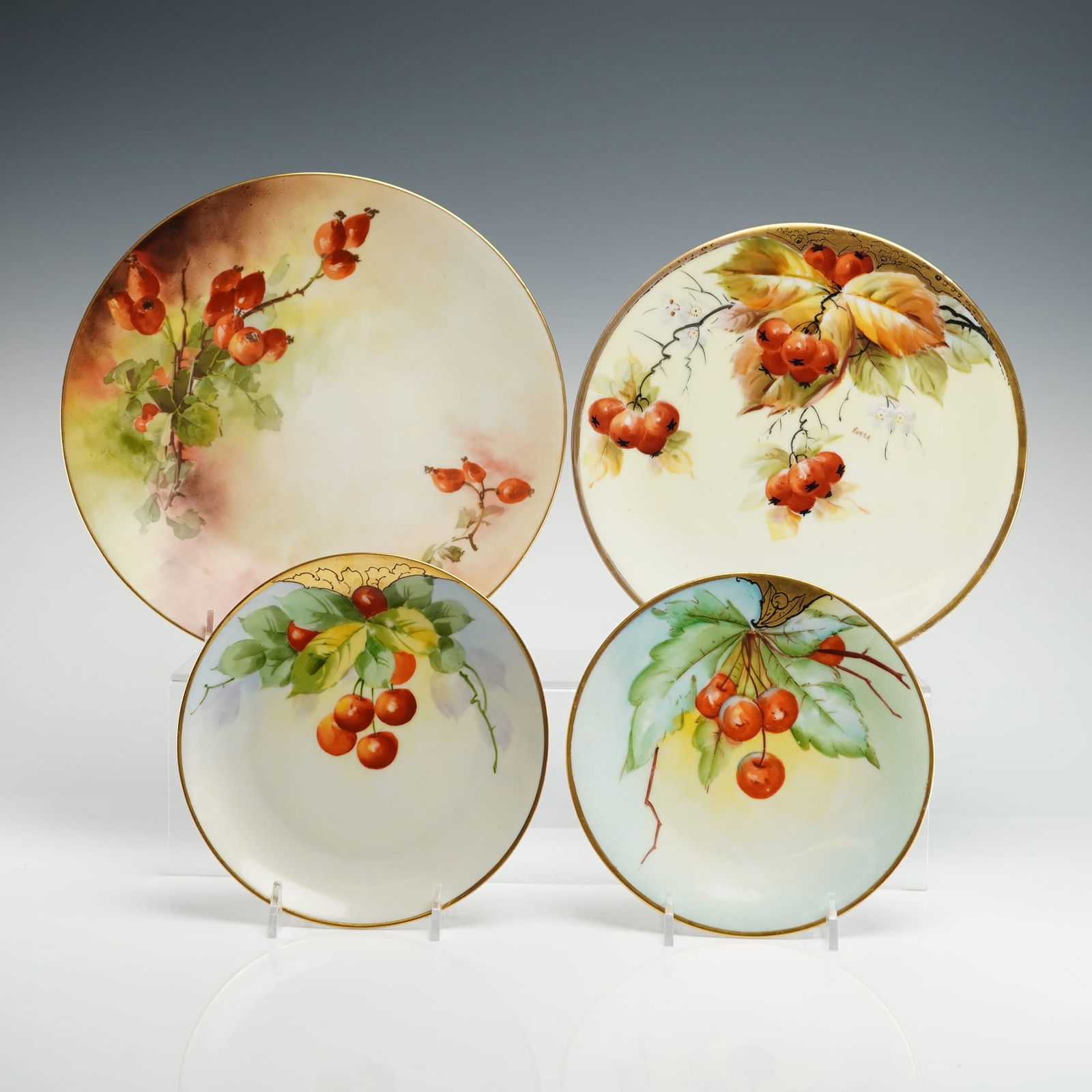 4pc Bavarian Porcelain Cabinet Plates, Botanical Decoration: A collection of 4 hand-painted porcelain cabinet plates, comprising two larger charger or dinner plates and two smaller salad or dessert plates, presented as a 4pc mixed lot of Bavarian Porcelain Plat
