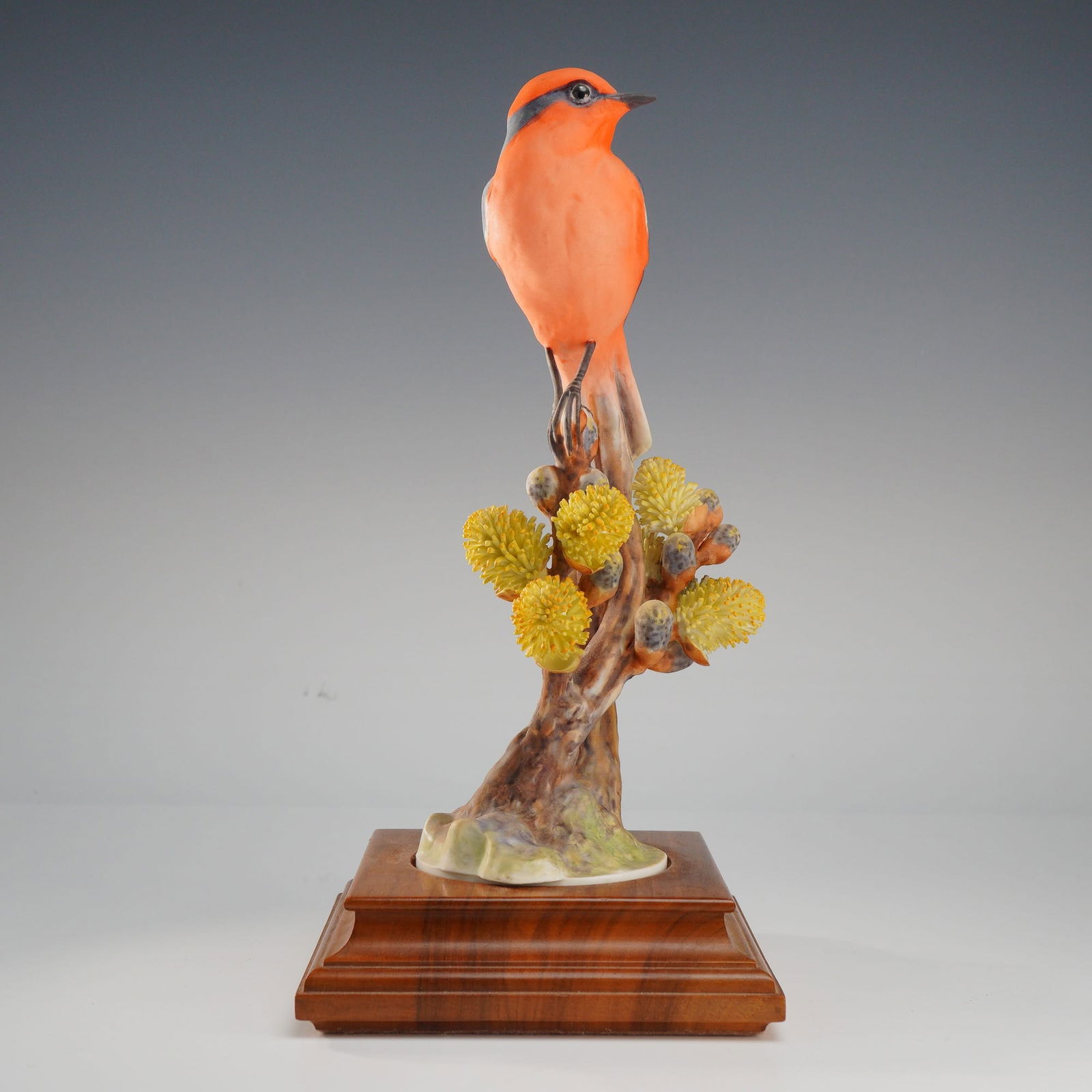 Royal Worcester, Vermilion Flycatcher with Pussy Willow by Dorothy Doughty: A fine Royal Worcester bisque porcelain figurine of a male Vermilion Flycatcher (Pyrocephalus rubinus mexicanus) perched on a pussy willow branch, designed by the celebrated artist Dorothy Doughty for