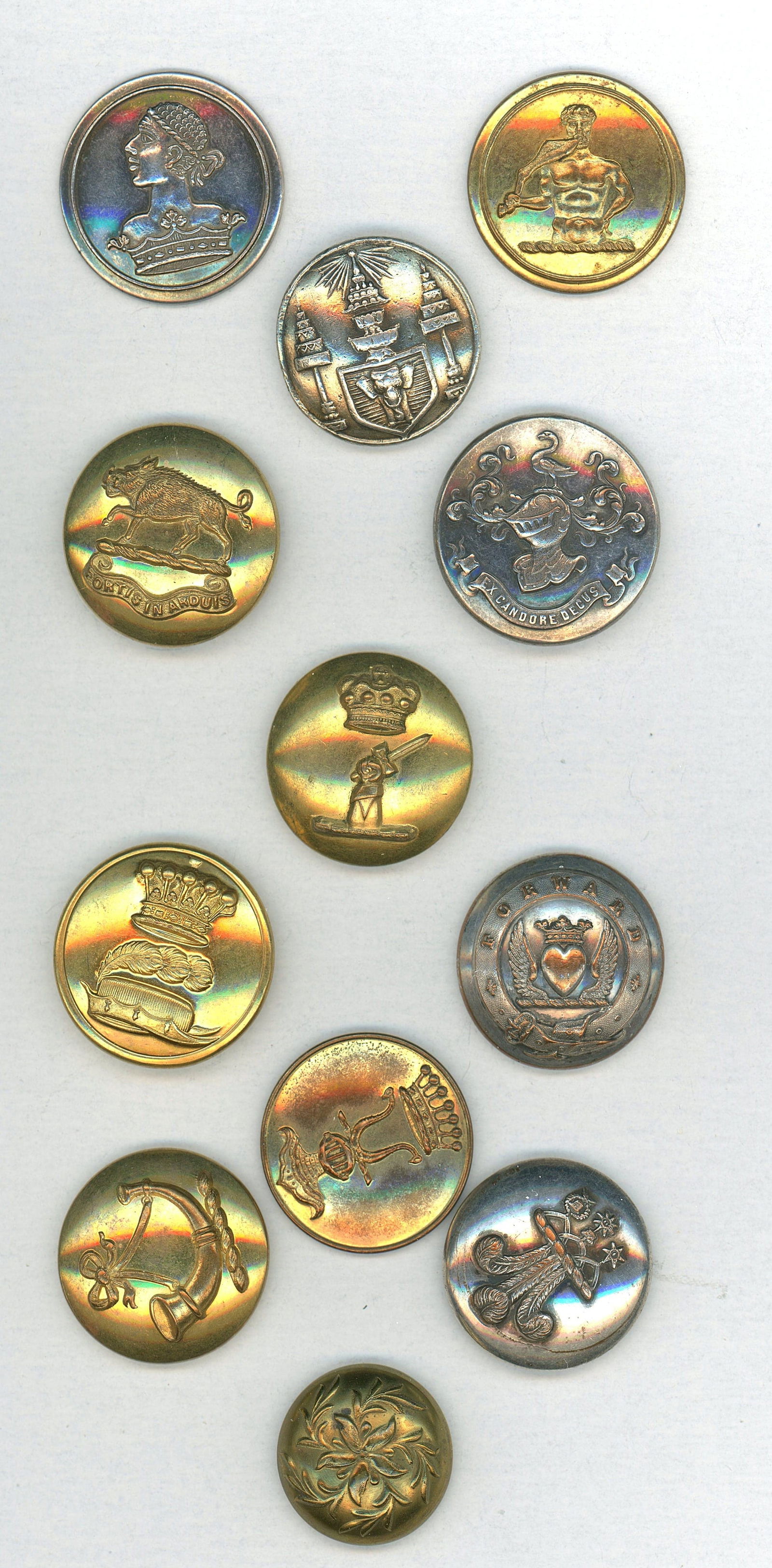A SMALL CARD OF DIVISION ONE ENGLISH LIVERY BUTTONS: 12 Medium 19th C. examples with different subject matter. DimensionsSM=Less than 3/4", Medium=3/4" to 1 1/4". Large=1 1/4" and above, extra large=1 3/4" and above Date or EraDIVISION 1=PRE 1918 AND