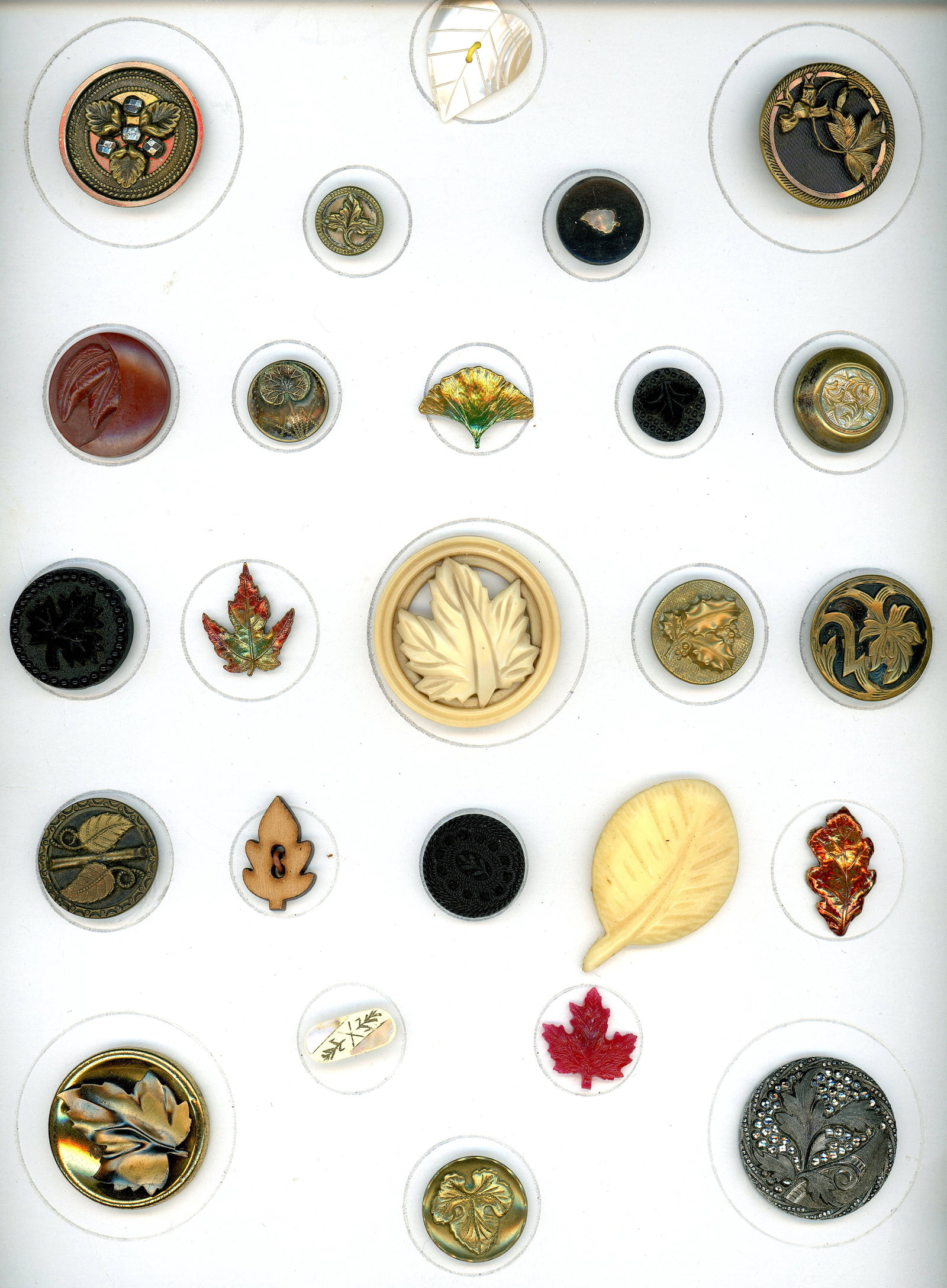 A CARD OF DIVISION ONE AND THREE LEAF BUTTONS (1 of 4)