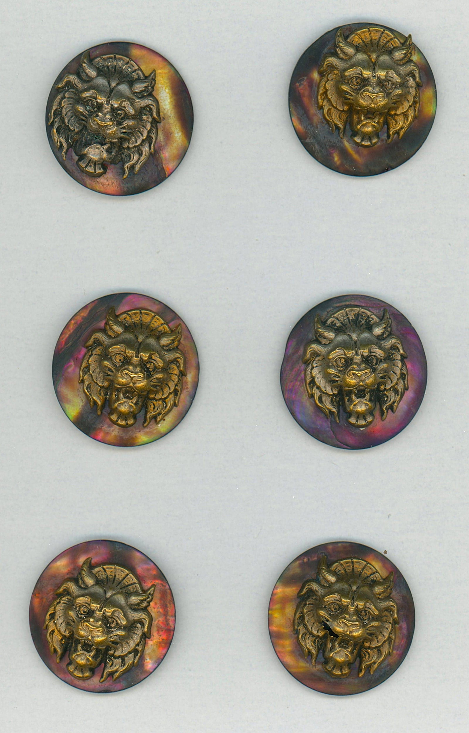 A SET OF DIVISION ONE PICTORIAL SHELL BUTTONS: 6 Medium 19th century brass escutcheons of lion heads on shell. DimensionsSM=Less than 3/4", Medium=3/4" to 1 1/4". Large=1 1/4" and above, extra large=1 3/4" and above Date or EraDIVISION 1=PRE 1918