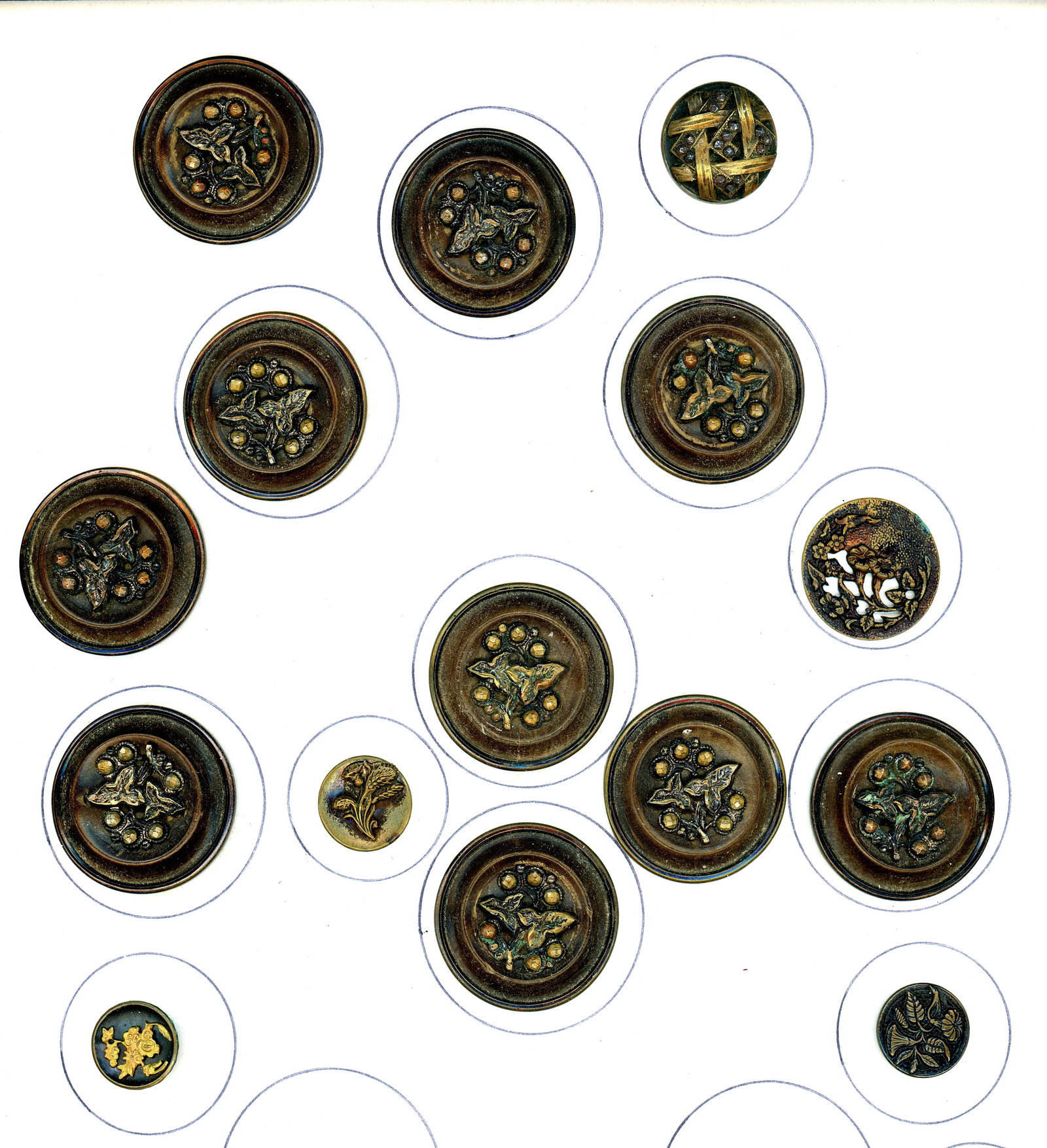 A CARD OF DIVISION ONE PLANT LIFE BUTTONS: 15 S/M/L 19th C. examples including 10 large identical buttons. DimensionsSM=Less than 3/4", Medium=3/4" to 1 1/4". Large=1 1/4" and above, extra large=1 3/4" and above Date or EraDIVISION 1=PRE