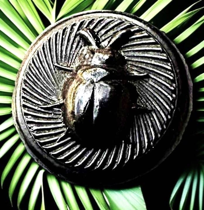 A DIVISION ONE DIMNUTIVE SIZE PICTORIAL BUTTON: 1 DIMI 19th C. molded black rubber BEE example. DimensionsSM=Less than 3/4", Medium=3/4" to 1 1/4". Large=1 1/4" and above, extra large=1 3/4" and above Date or EraDIVISION 1=PRE 1918 AND DIVISION 3 I