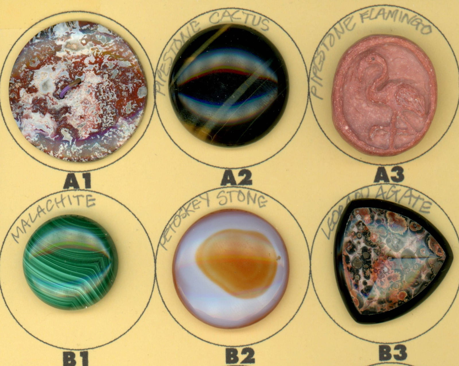 A PARTIAL CARD OF DIVISION 1 & 3 GEMSTONE BUTTONS: 6 Medium/Large 19th/20th century assorted semi precious examples. DimensionsSM=Less than 3/4", Medium=3/4" to 1 1/4". Large=1 1/4" and above, extra large=1 3/4" and above Date or EraDIVISION 1=PRE 191