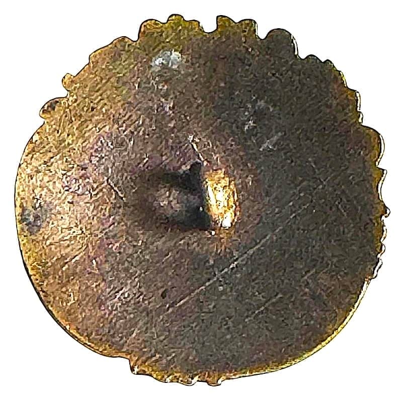 A DIVISION ONE MULTIPLE TECHNIQUE ENAMEL BUTTON - 2