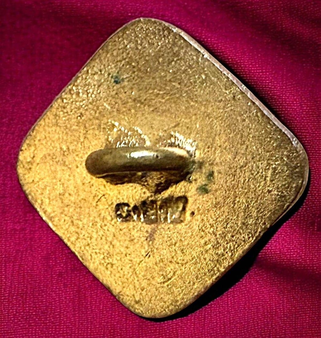 A NICE DIVISION ONE MULTI ENAMEL TECHNIQUE BUTTON - 2