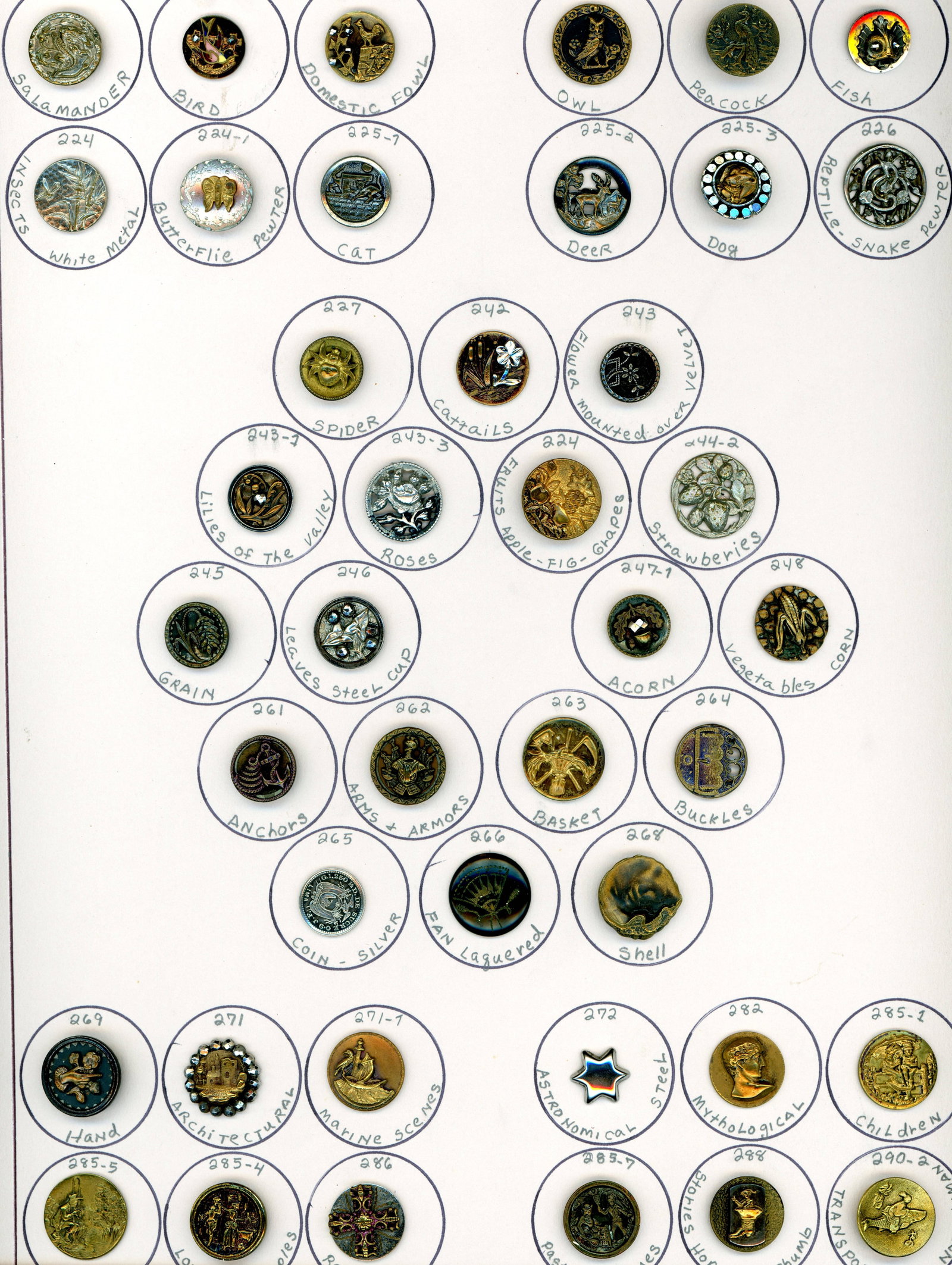 A CARD OF DIVISION ONE ASSORTED METAL BUTTONS (1 of 4)