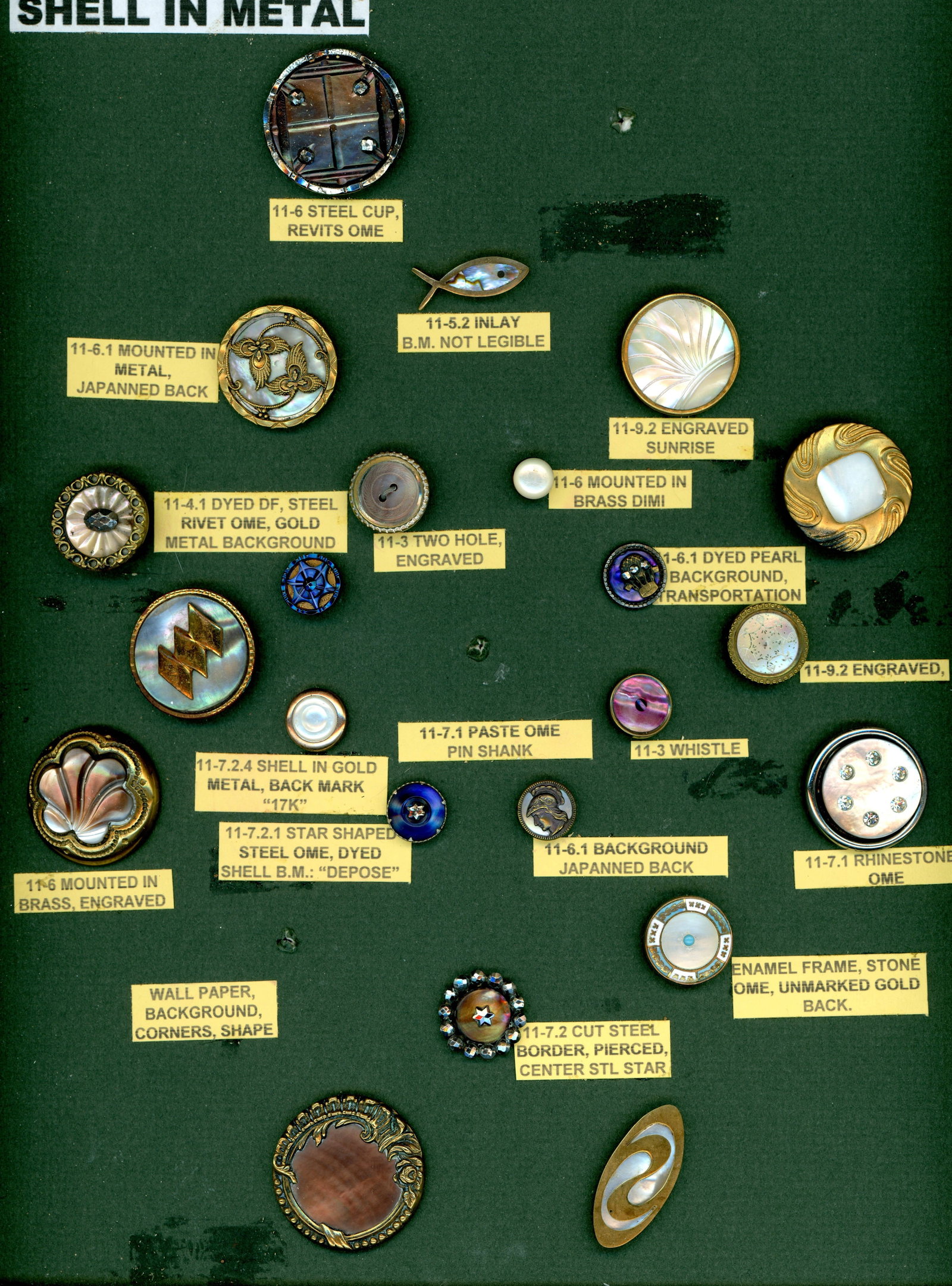 A CARD OF DIVISION ONE SHELL BUTTONS: 22 S/M/L 19th century assorted technique in metal examples. This card of the late Jeff Lee of Ohio incorporates shell in steel cups, brass, backgrounds, carved, engraved, and more. DimensionsSM=Less t