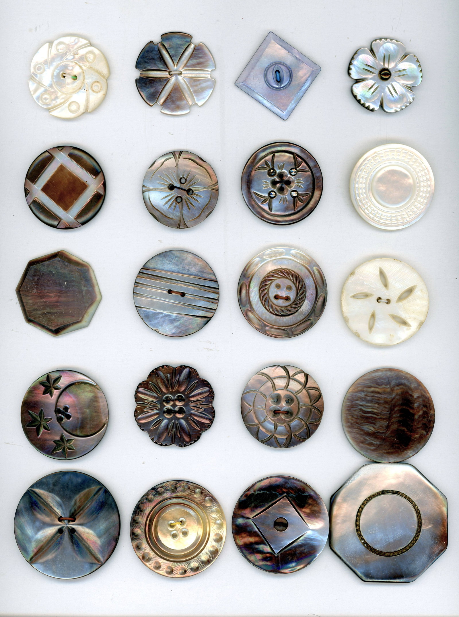 A CARD OF DIVISION ONE SHELL BUTTONS: 20 Large 19th century examples including carved and smokey. This card includes engraved, brown shaded, smokey, oyster white, carved, shapes, plain centers, and more. DimensionsSM=Less than 3/4", Mediu