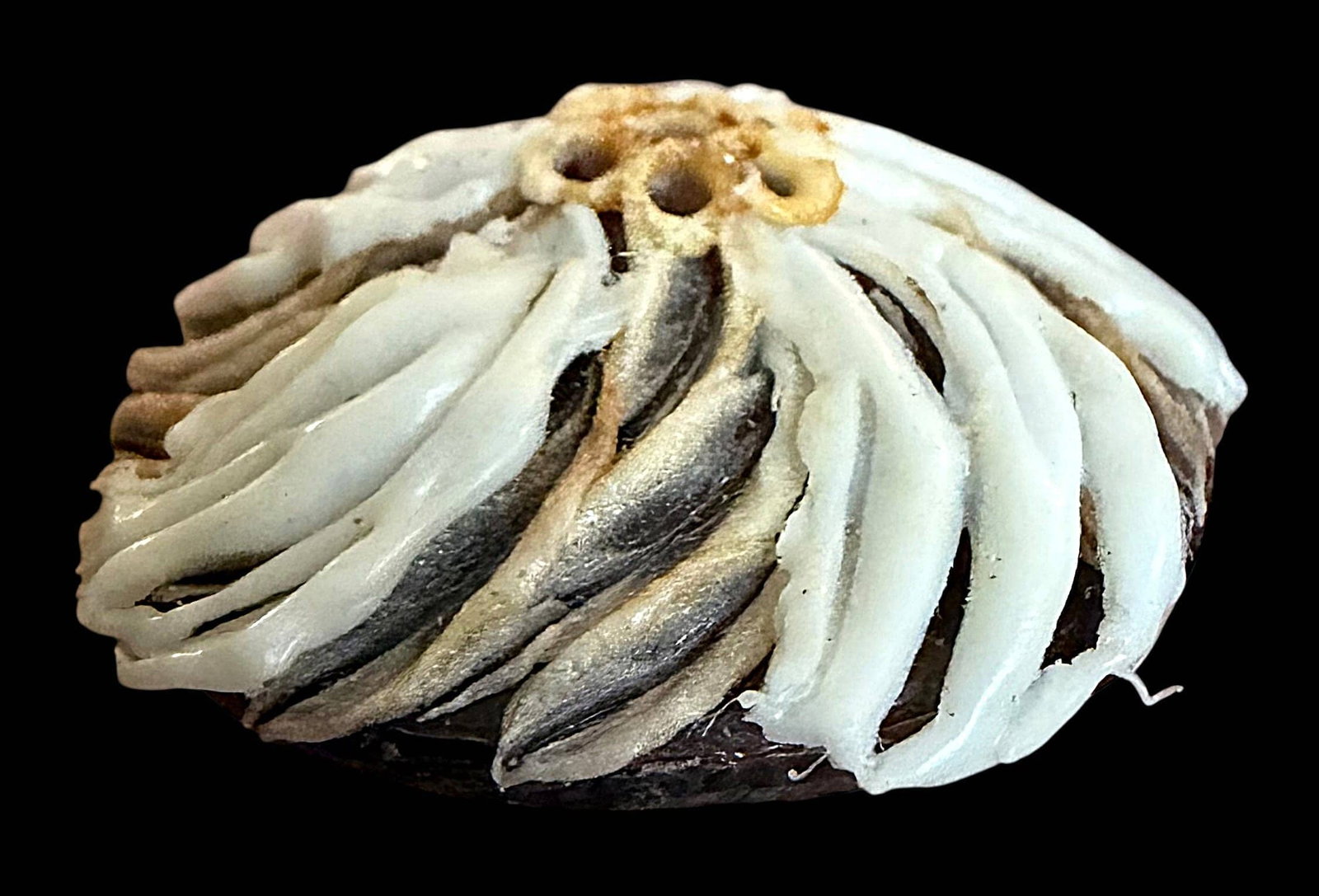 A DIVISION THREE COUTURE STUDIO BUTTON - 2