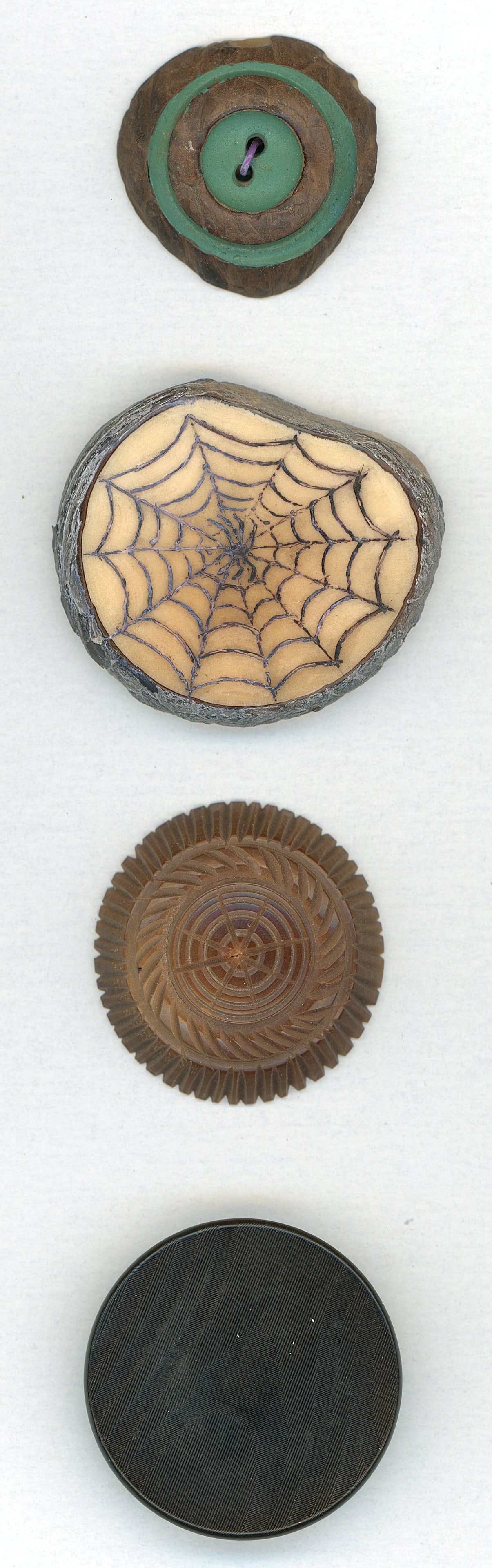 A SMALL CARD OF DIVISION 1 & 3 VEG. IVORY BUTTONS: 4 Large 19th/21st century examples including pictorials. This lot includes a wonderful engraved spider web signed on the reverse CR, very nicely done. The other buttons in the lot are patterns includi