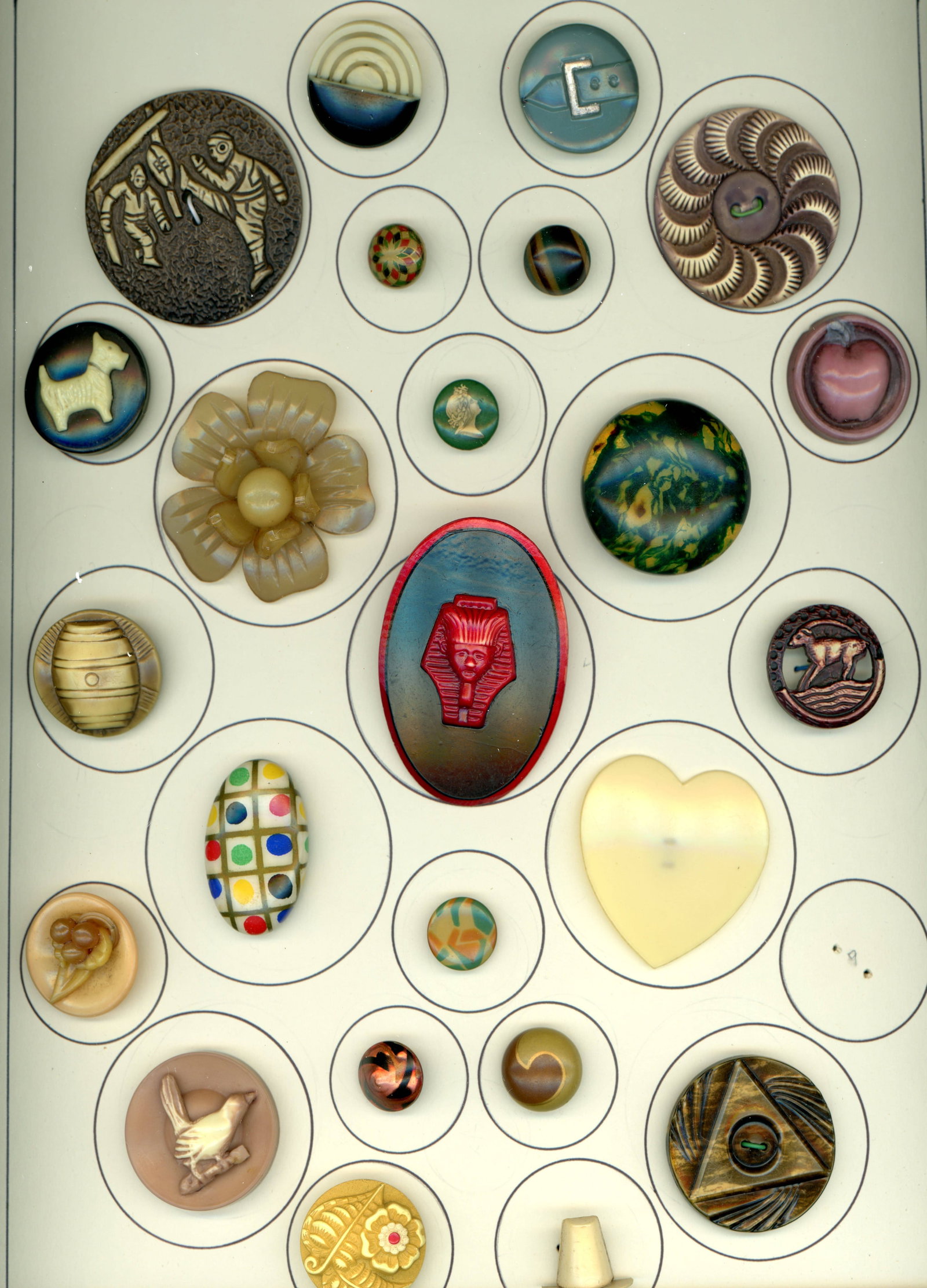 A CARD OF DIVISI0ON ONE AND THREE CELLULOID BUTTONS: 24 S/M/L 19th/20th Century assorted technique examples. This card includes tight tops, Victorians, 1 Piece 30's. pictorials, shapes, buffed and more. Nice big oval Red Egyptian and other fun examples.