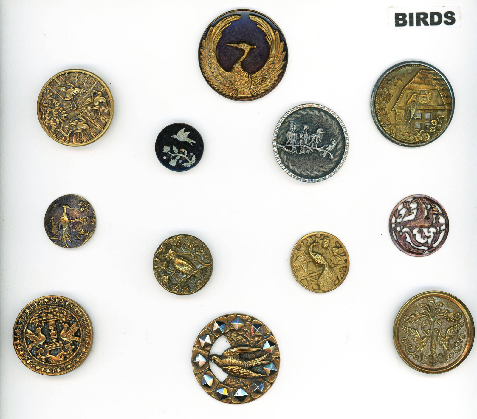 A PARTIAL CARD OF DIVISION ONE BIRD BUTTONS: 12 Medium/Large 19th century metal pictorial examples. This assortment includes many brass examples, pewter and cut steel OME. DimensionsSM=Less than 3/4", Medium=3/4" to 1 1/4". Large=1 1/4" and abov