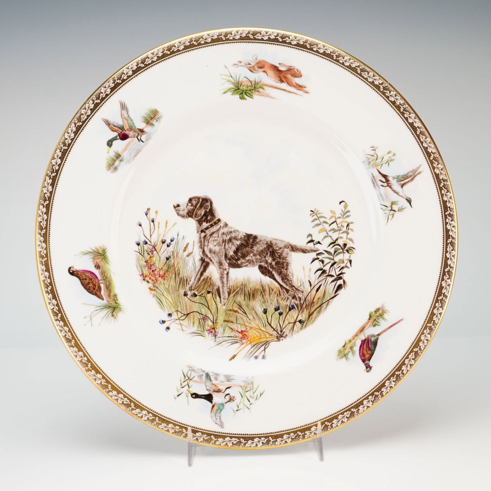 Wedgwood Bone China American Sporting Dog Plate Wirehaired Pointing Griffon (1 of 4)