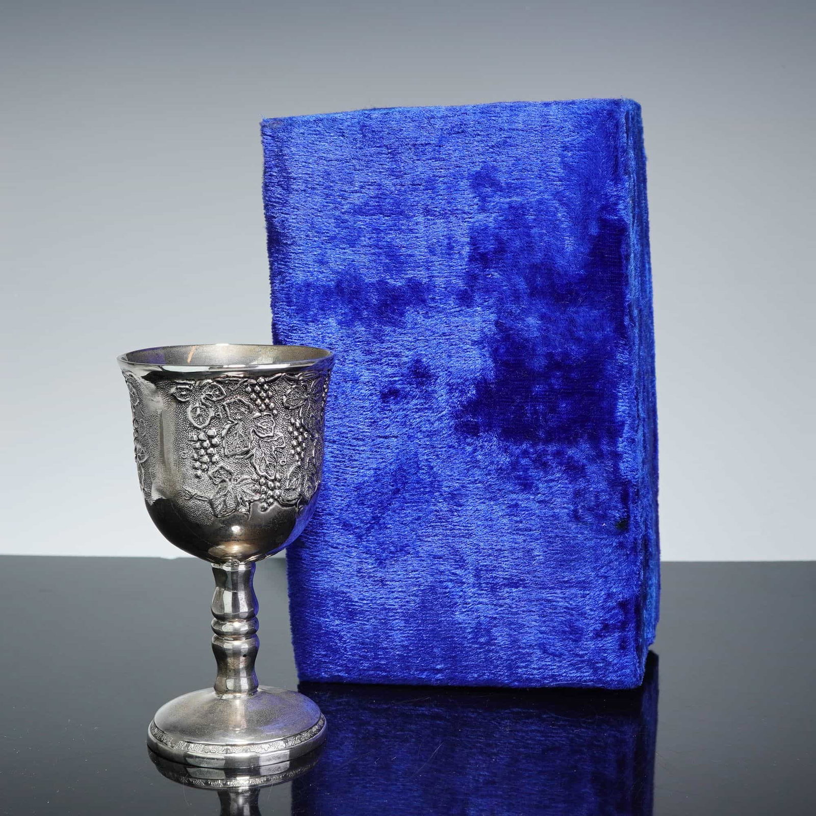 Alef Judaica Inc. Silver Plated Kiddush Cup with Grapevine Motif and Presentation Box (1 of 4)