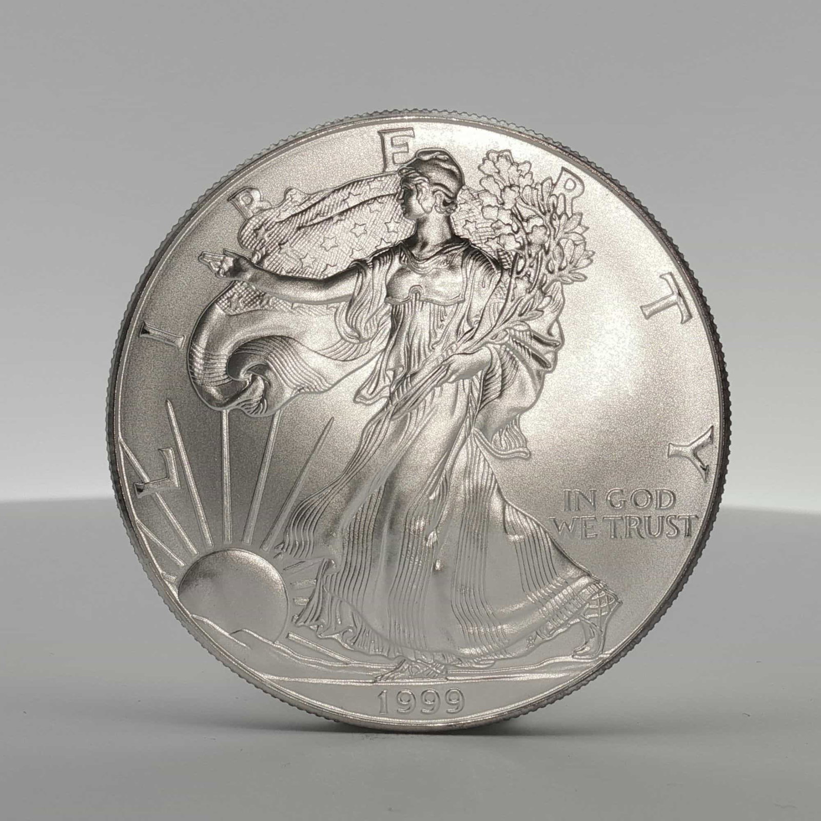 1999 American Silver Eagle One Dollar Coin (1 of 2)