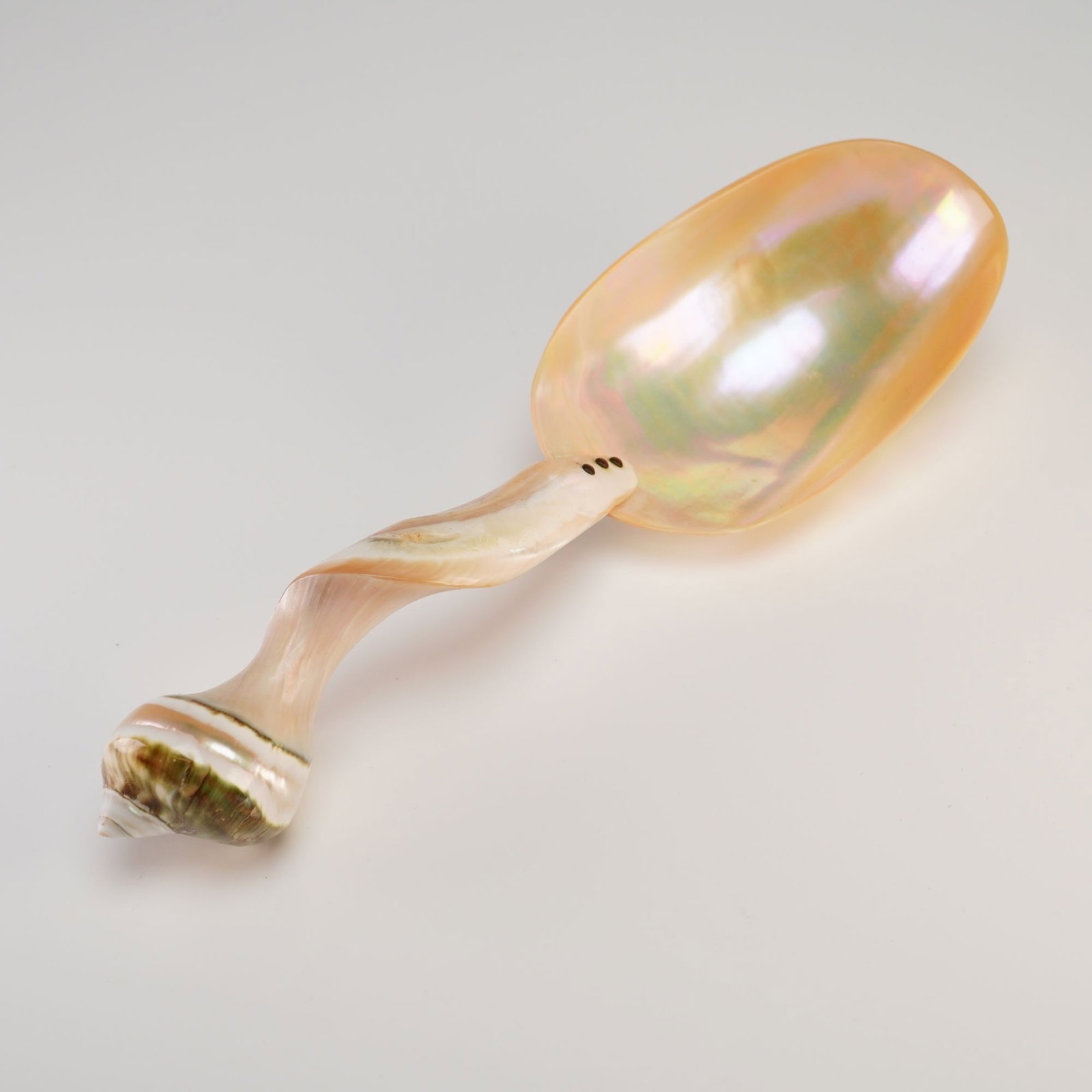 Polished Mother of Pearl and Seashell Serving Spoon: A decorative shell serving spoon constructed from multiple polished iridescent shell elements. The item features an oval-shaped bowl fashioned from iridescent mother-of-pearl. This bowl is joined to a