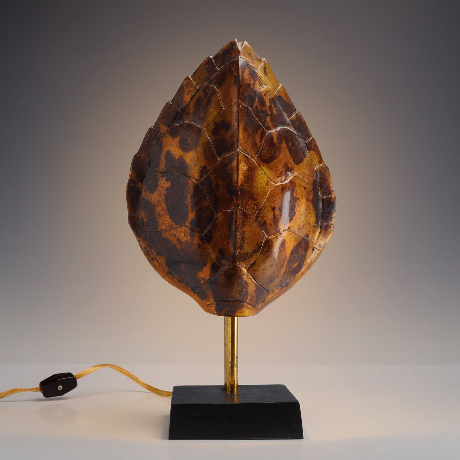 Vintage Chapman Brass Turtle Shell Table Lamp (1 of 4)