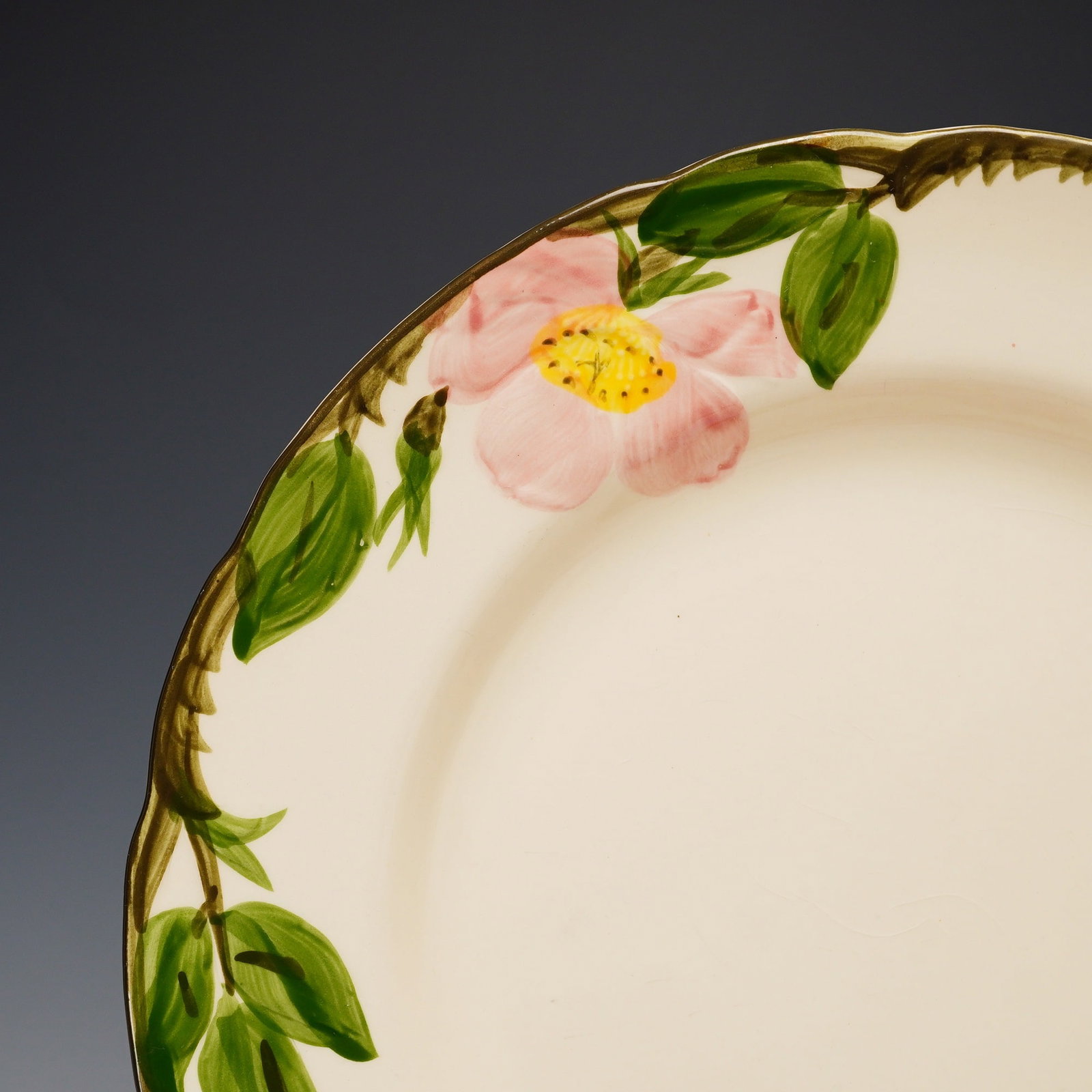 26pc Franciscan Desert Rose Pattern Earthenware Dinnerware Set - 2