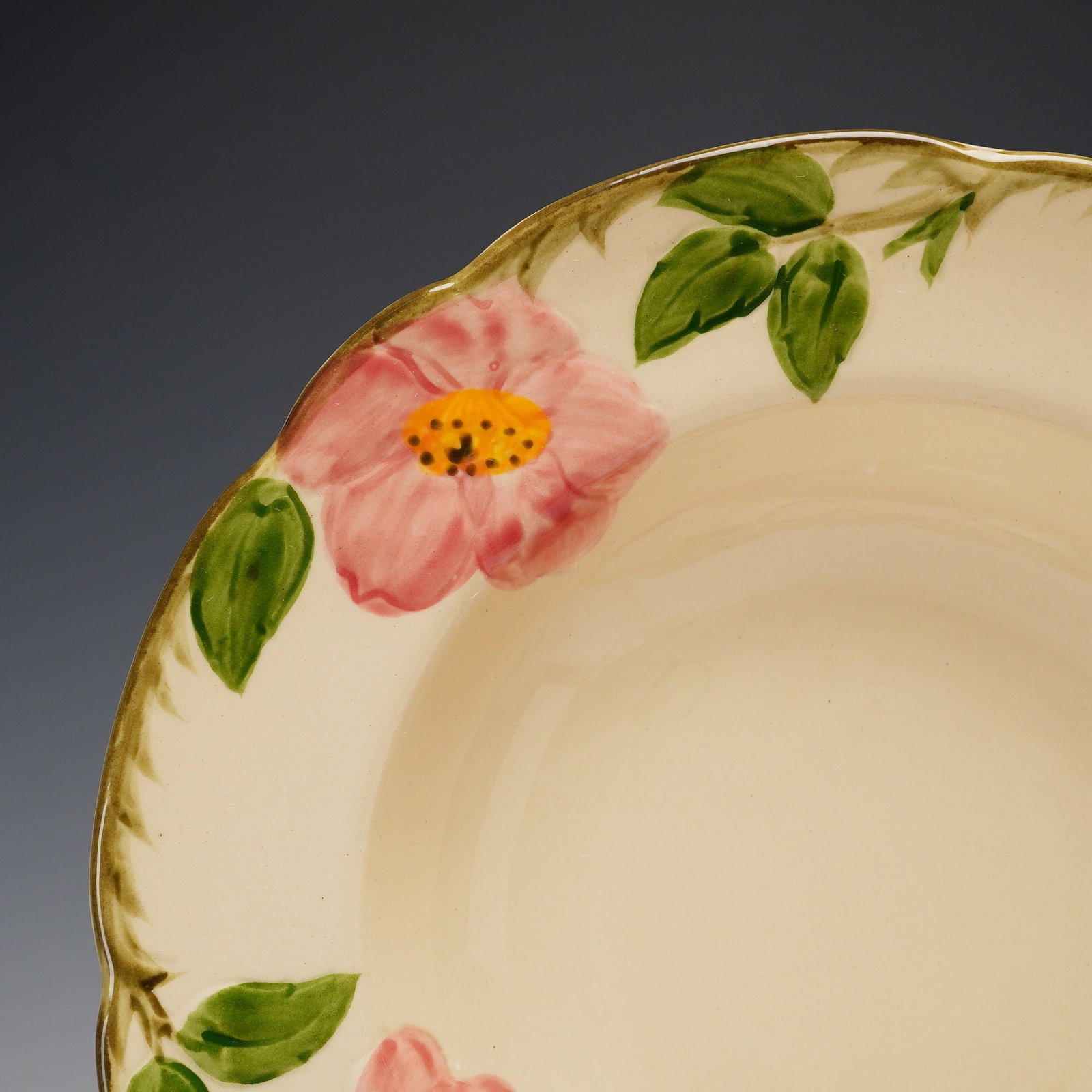 12pc Franciscan Desert Rose Pattern Earthenware Tableware Set - 2
