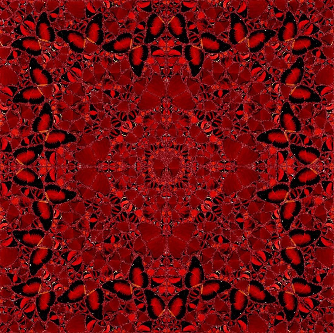 Damien Hirst (British 1965) Laminated Giclee The Empresses Our Jahan H10-2: Laminated Giclee print on aluminum composite, screen printed with glitter titled The Empresses Our Jahan H10-2. Hand Signed and numbered 1078/3041 on the label on the verso of the piece. Sight size 39
