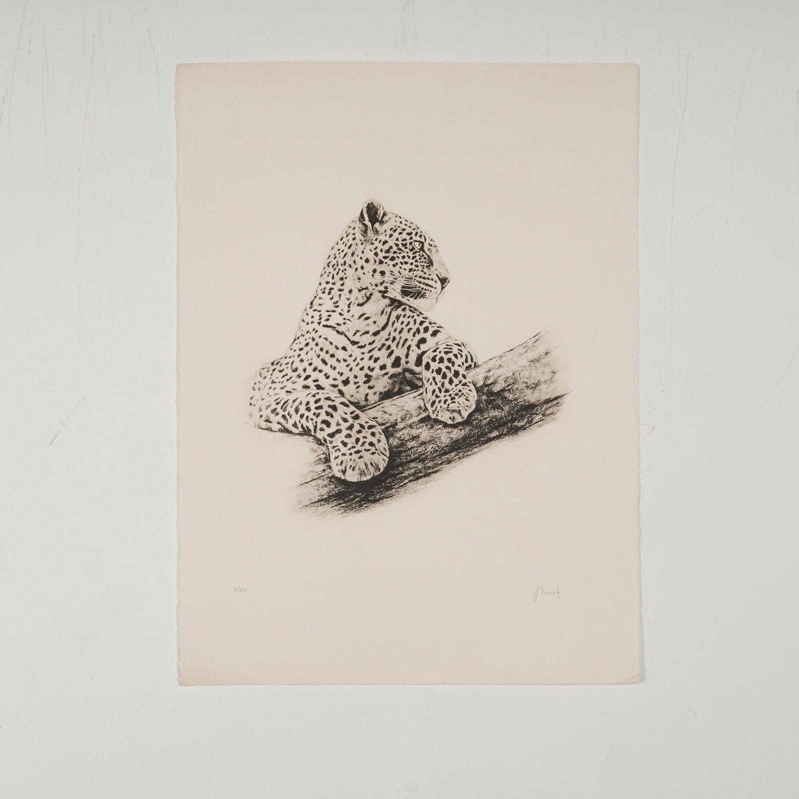 Joseph Vance, Leopard in a Tree, Lithograph (Signed) - 2
