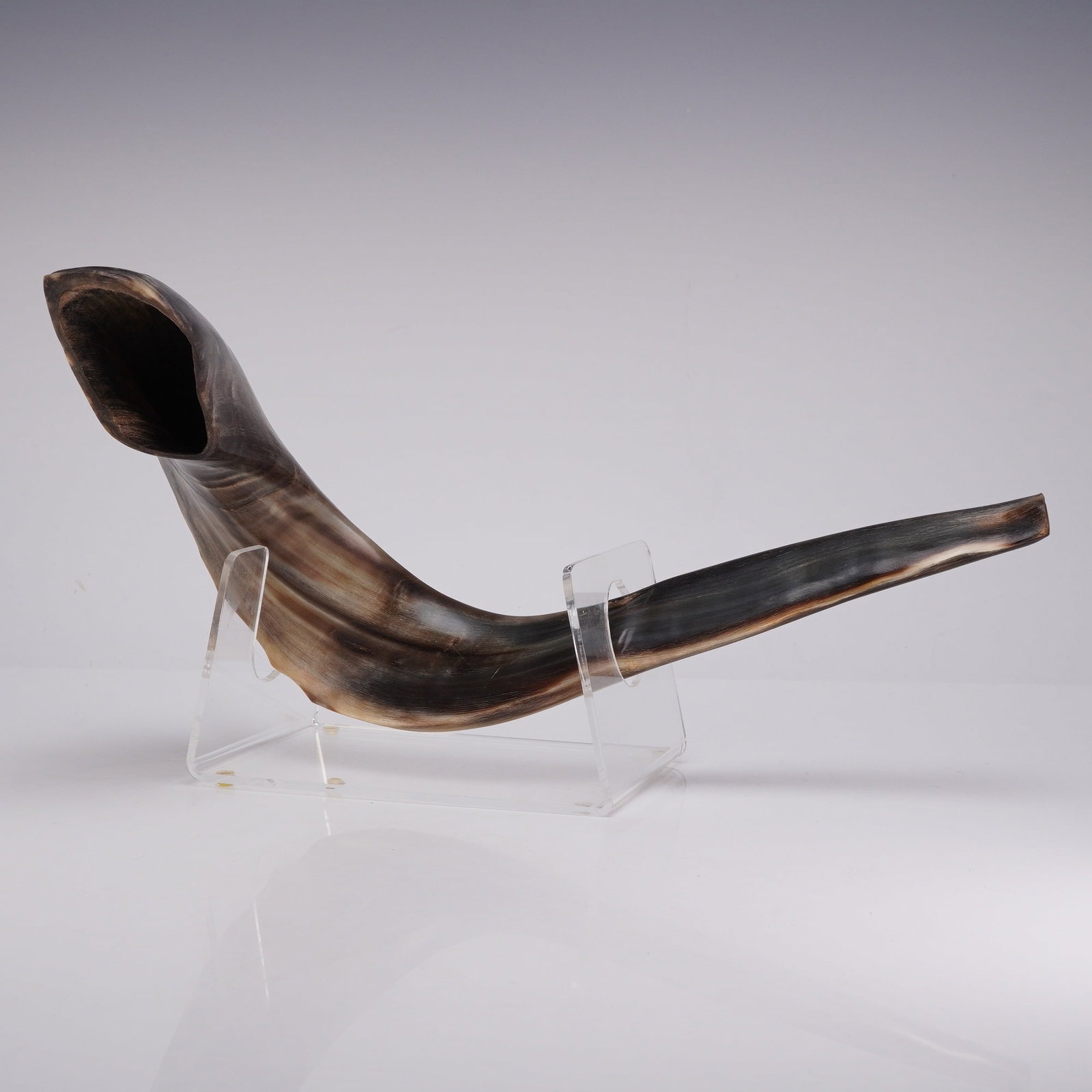 Yemenite Shofar Horn with Clear Acrylic Stand: This Yemenite shofar is crafted from a natural animal horn, featuring a curved form with a polished finish that highlights its variegated mottled black, dark brown, and translucent amber-tan coloratio