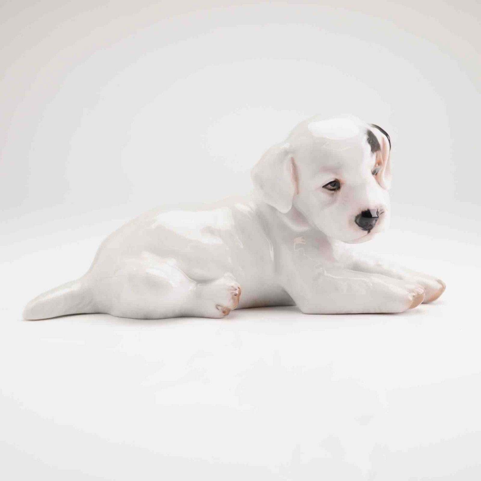 Rosenthal Porcelain Terrier Puppy Figurine: A glazed porcelain figurine of a reclining terrier puppy manufactured by Rosenthal. The figure is modeled in a naturalistic pose, lying on its belly with its head turned slightly to the right. The pup