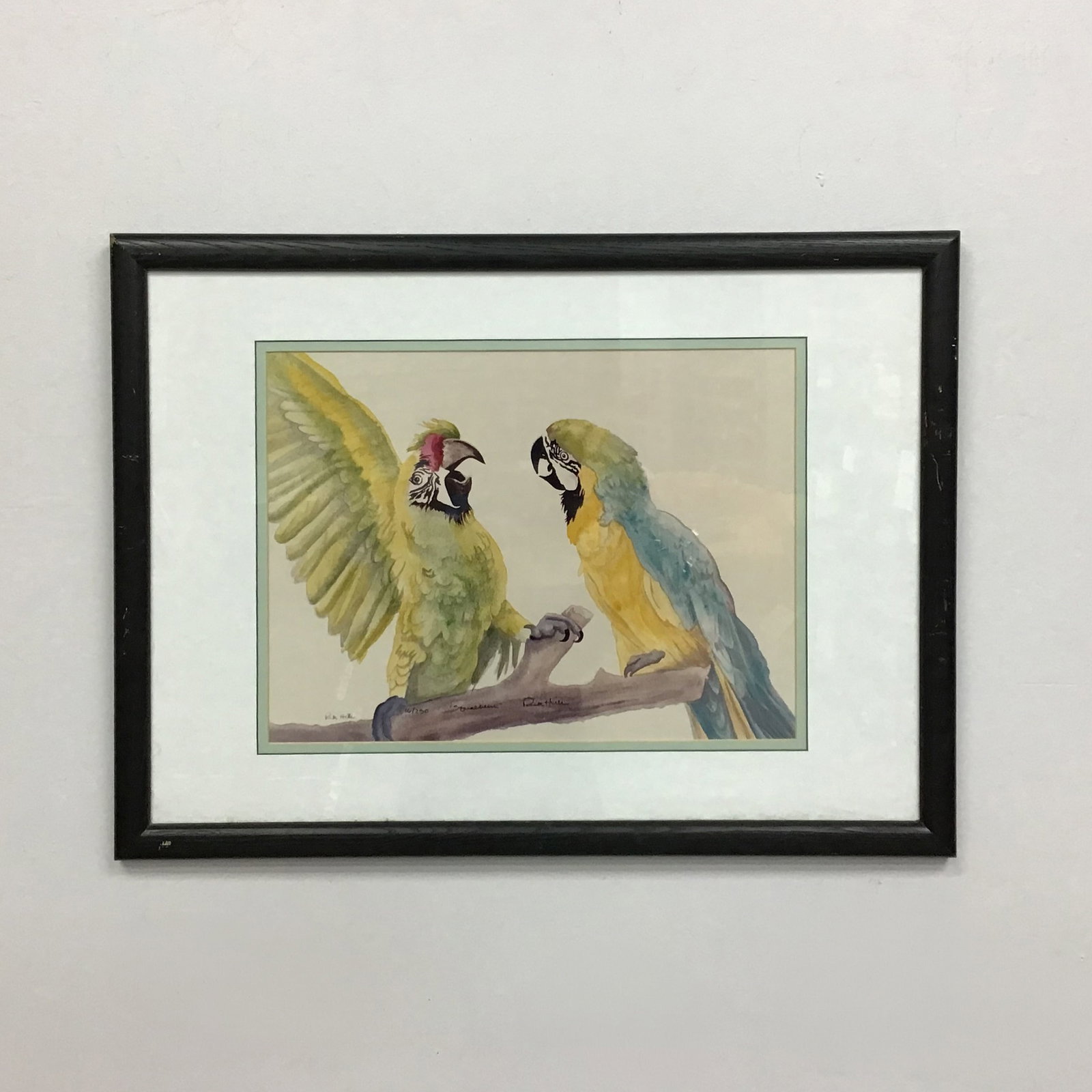 Rick Hills (American, 20th/21st Century), Squabblers, Signed Lithograph: Rick Hills (American, 20th/21st Century). An offset lithograph on wove paper after an original watercolor, titled Squabblers. The composition features a realistic and lively depiction of a Blue-and-ye