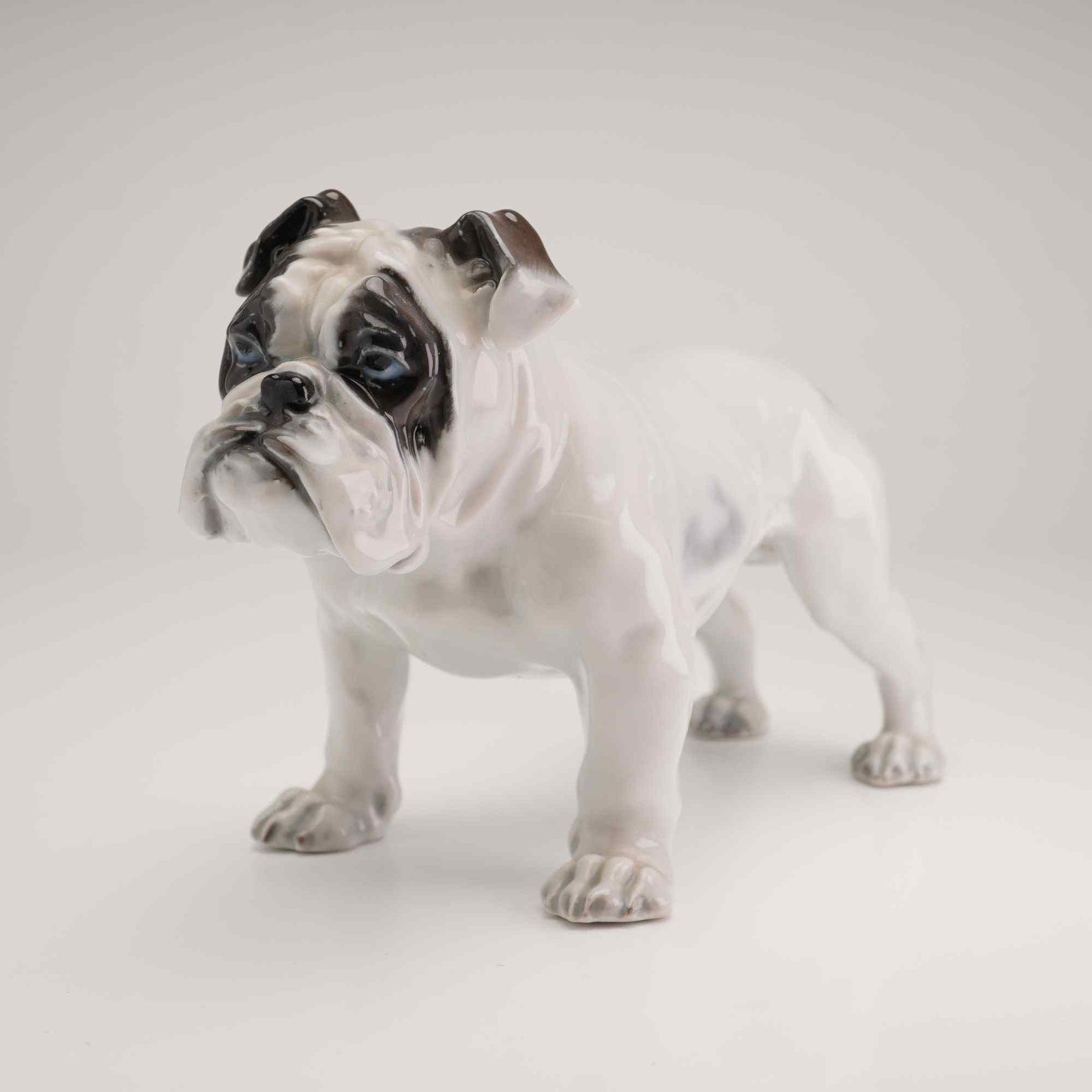 Rosenthal Porcelain English Bulldog Figurine: A Rosenthal porcelain figurine of an English Bulldog, model 345, designed by the artist Fritz Heidenreich. The rosenthal dog is modeled in a characteristic sturdy standing pose with detailed musculatu