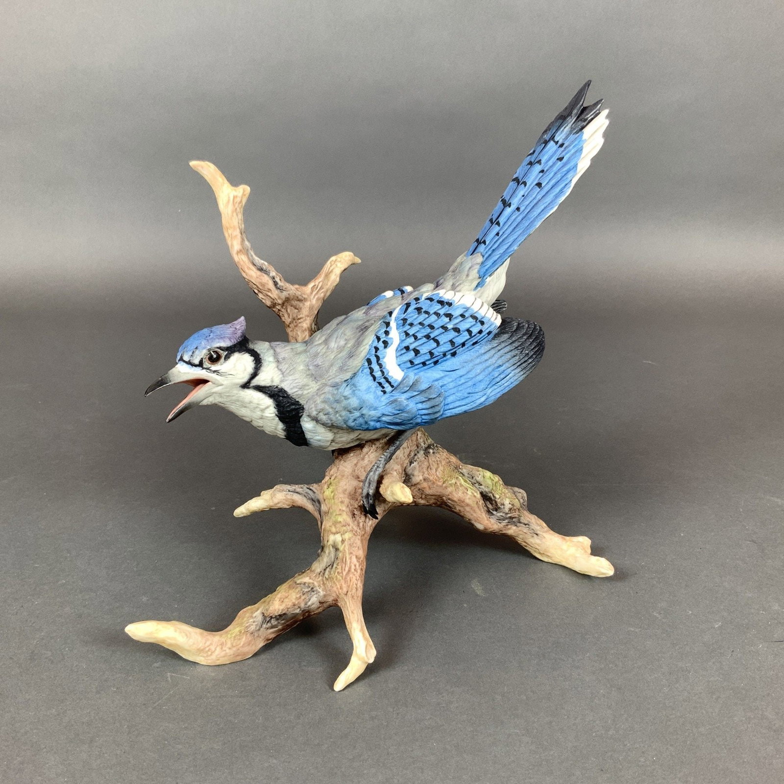 Boehm Bisque Porcelain Blue Jay Figurine, 40324: A hand-painted bisque porcelain figurine of a Blue Jay produced by Edward Marshall Boehm, Inc. The bird is depicted in a downward-facing pose on a multi-pronged naturalistic branch with its beak open.