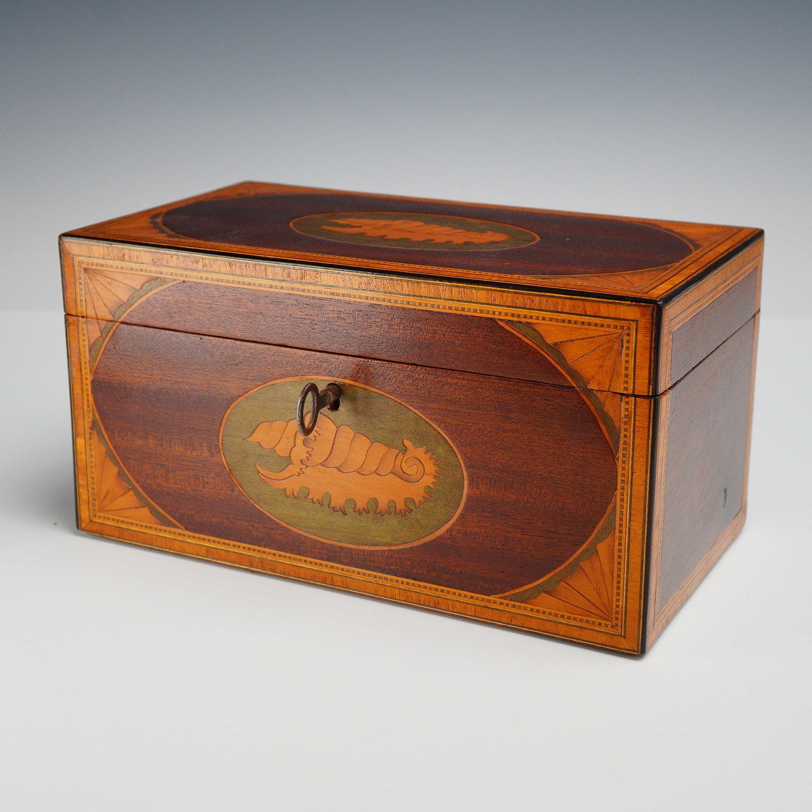 George III Mahogany and Marquetry Conch Shell Inlaid Tea Caddy with Key (1 of 4)