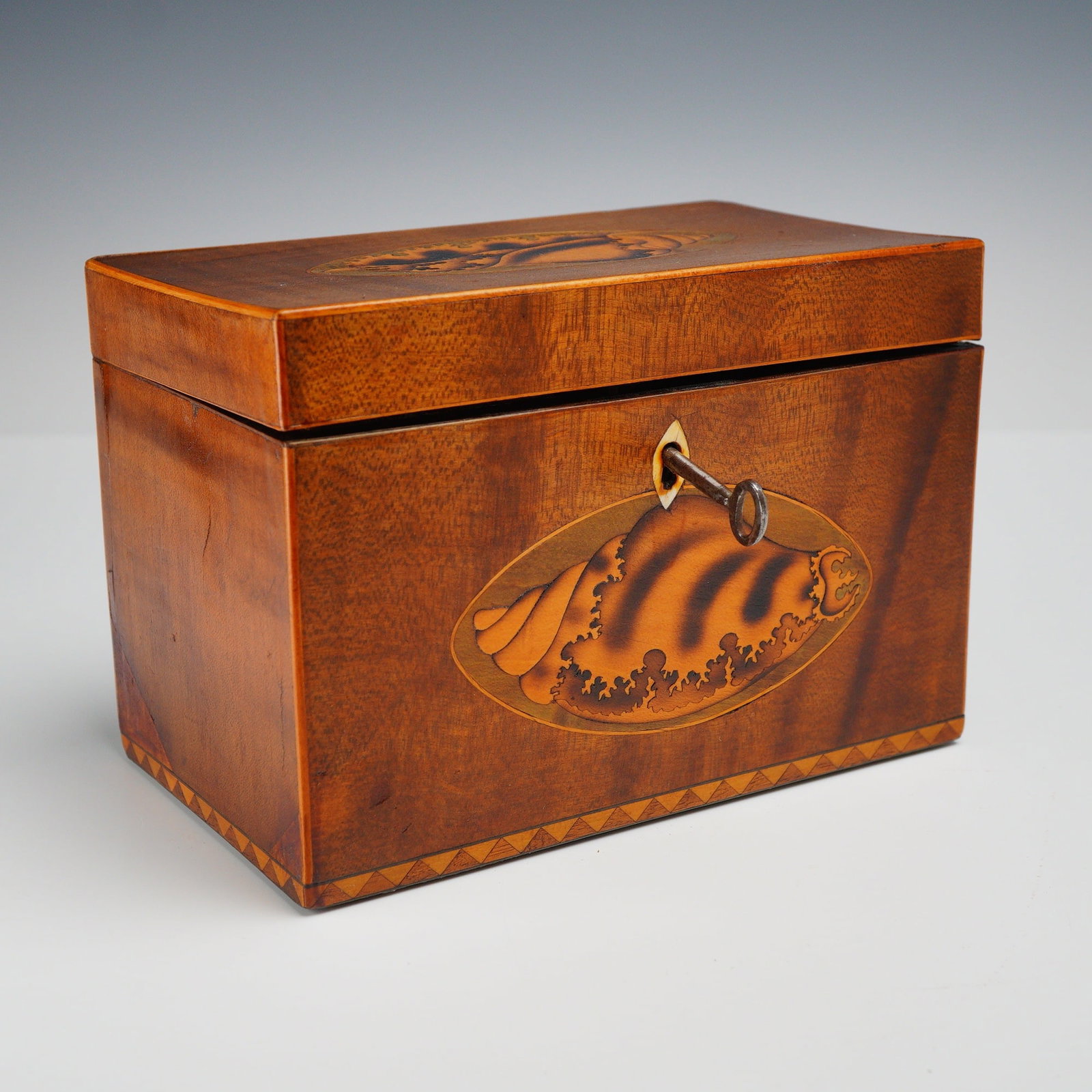 George III Style Satinwood and Mahogany Conch Shell Inlaid Wood Tea Caddy with Key (1 of 4)