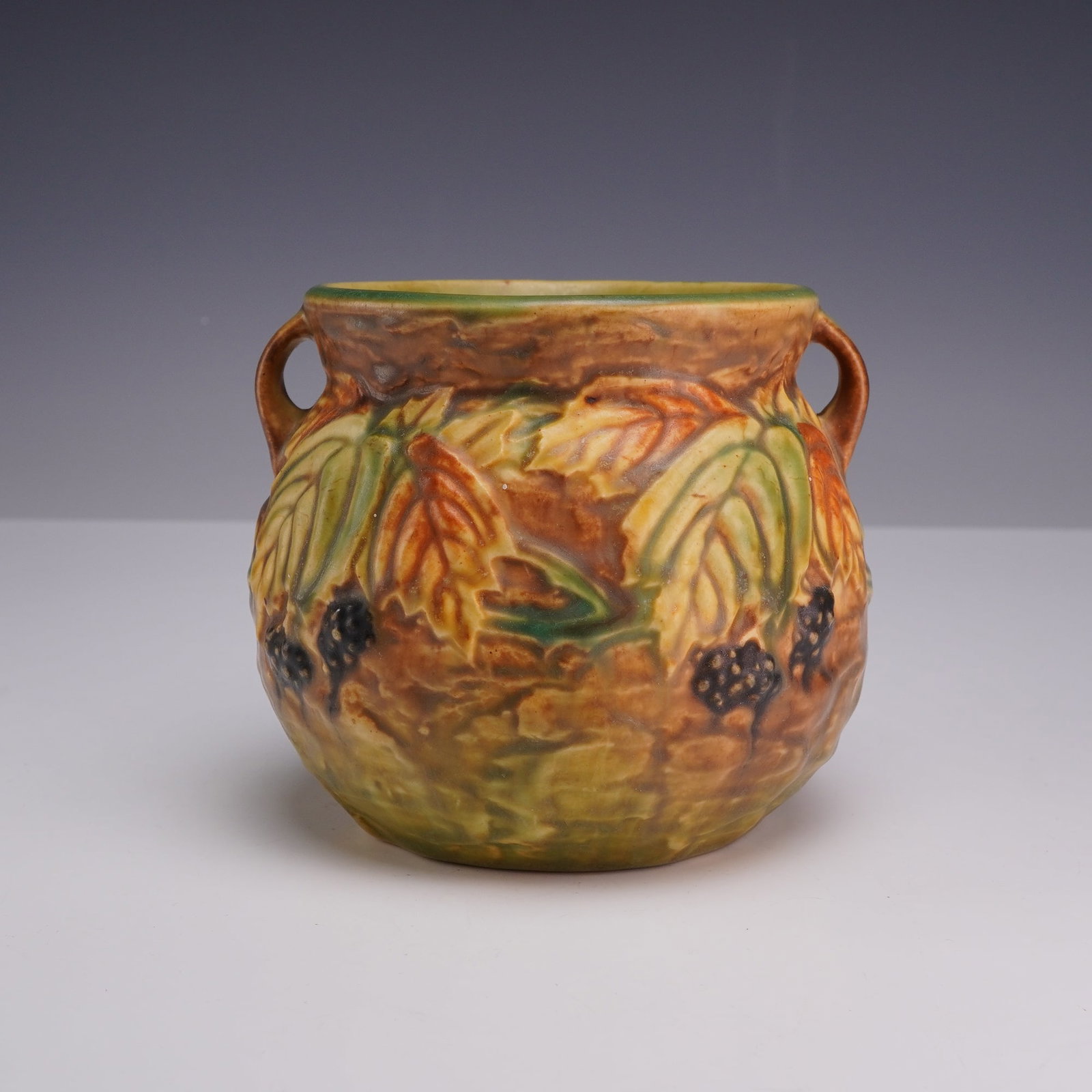 Roseville Pottery Blackberry Pattern Multi-Colored Double Handled Vase: Roseville Pottery earthenware vase in the Blackberry pattern, featuring a multi-colored body with relief-molded decoration. The bulbous form displays clusters of dark berries amongst large, overlappin
